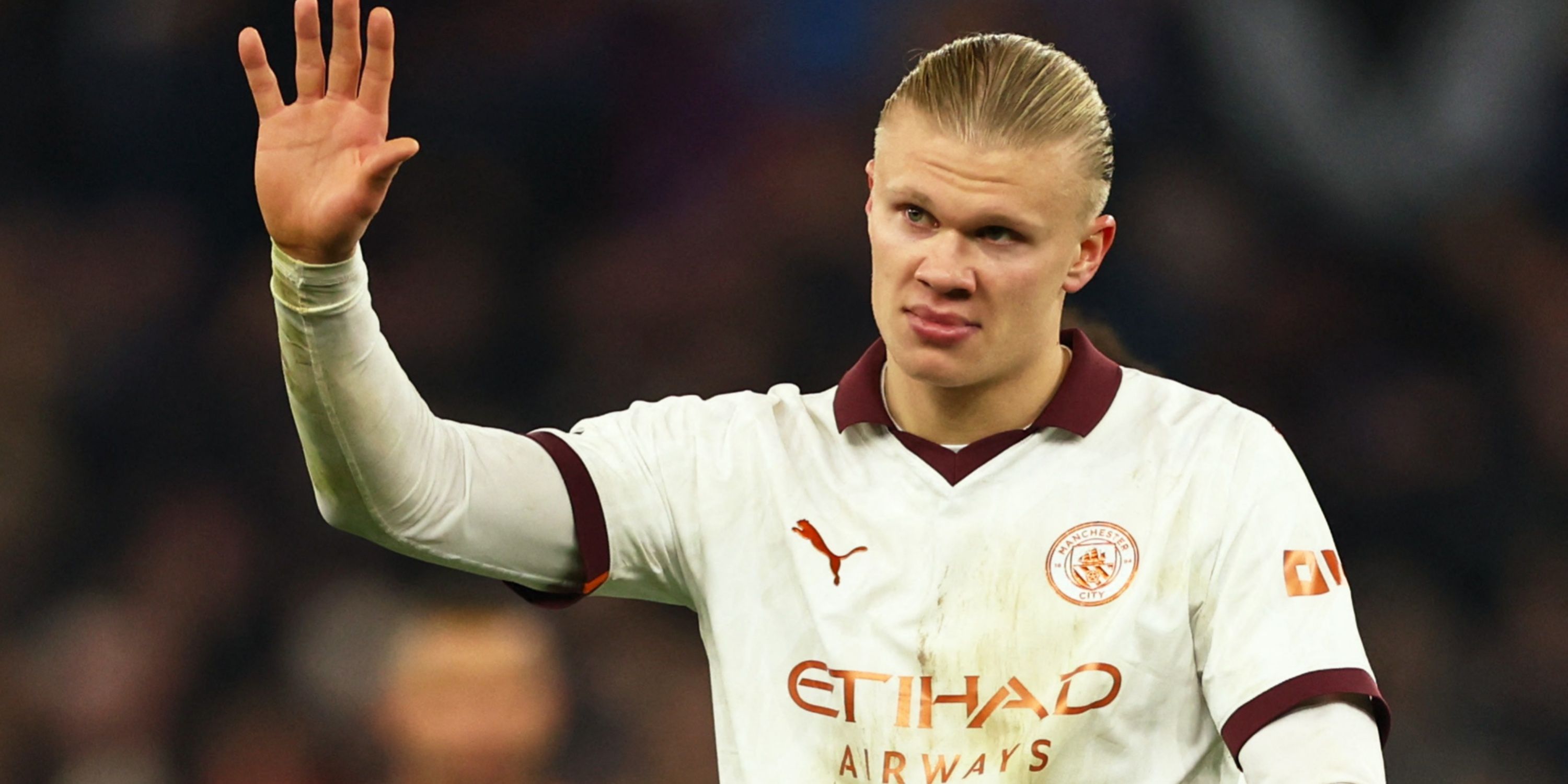 erling-haaland-2022-2023-pfa-poty