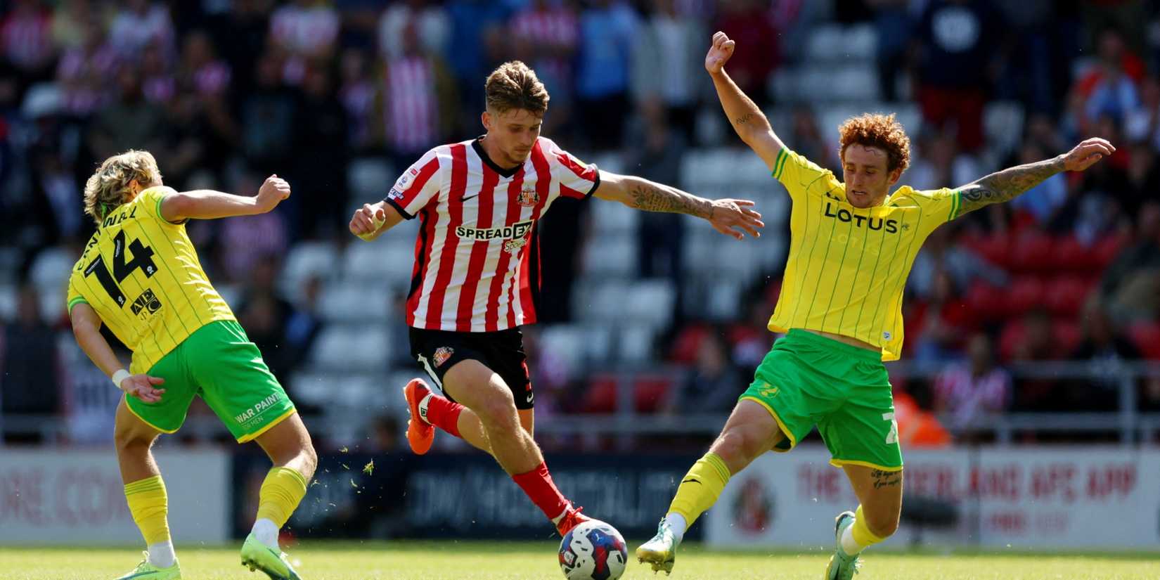 Dennis-Sirkin-Sunderland