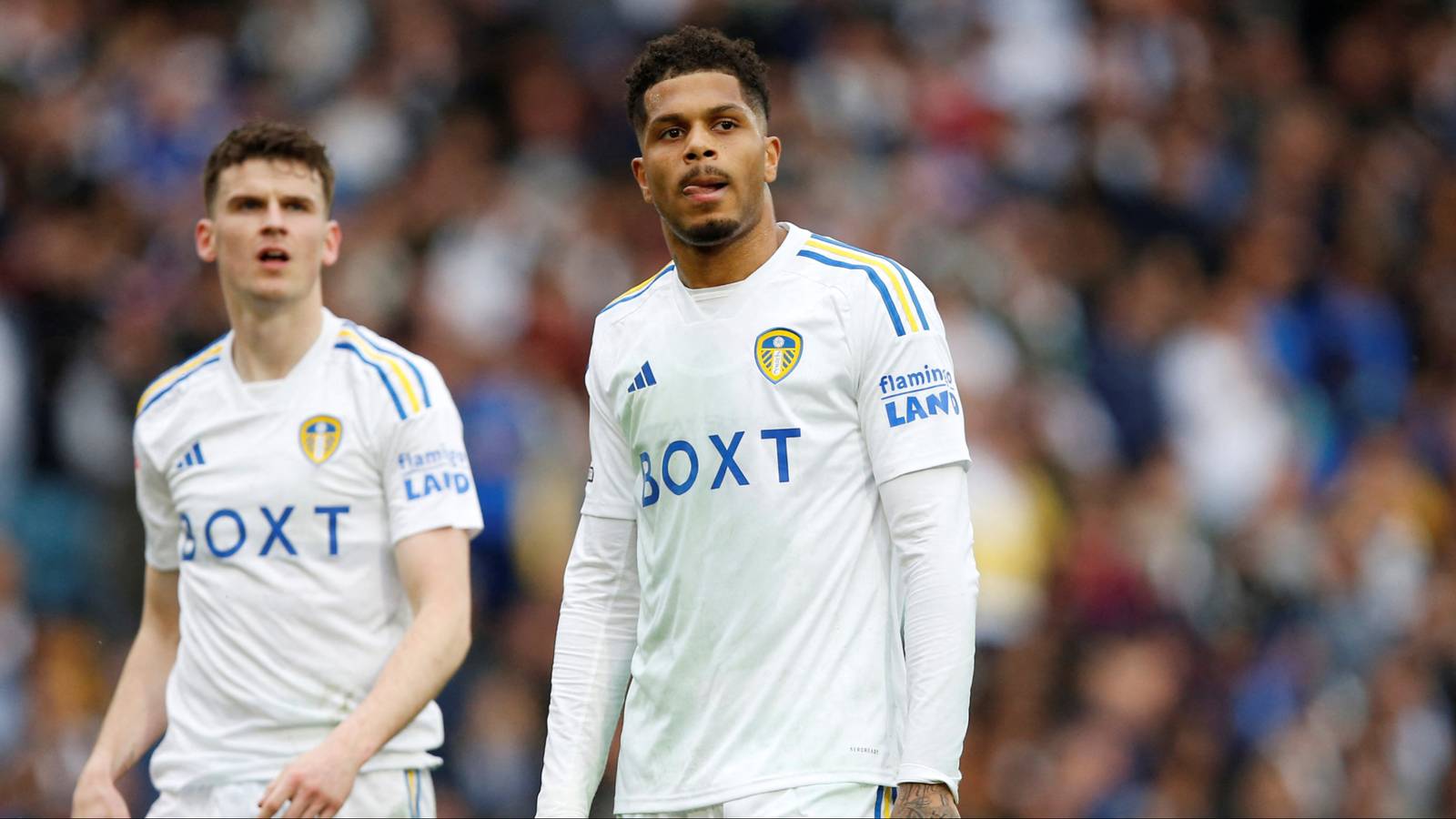 Will Rutter Football 49ers plot late move for Rutter replacement who embarrassed Leeds in 23/24