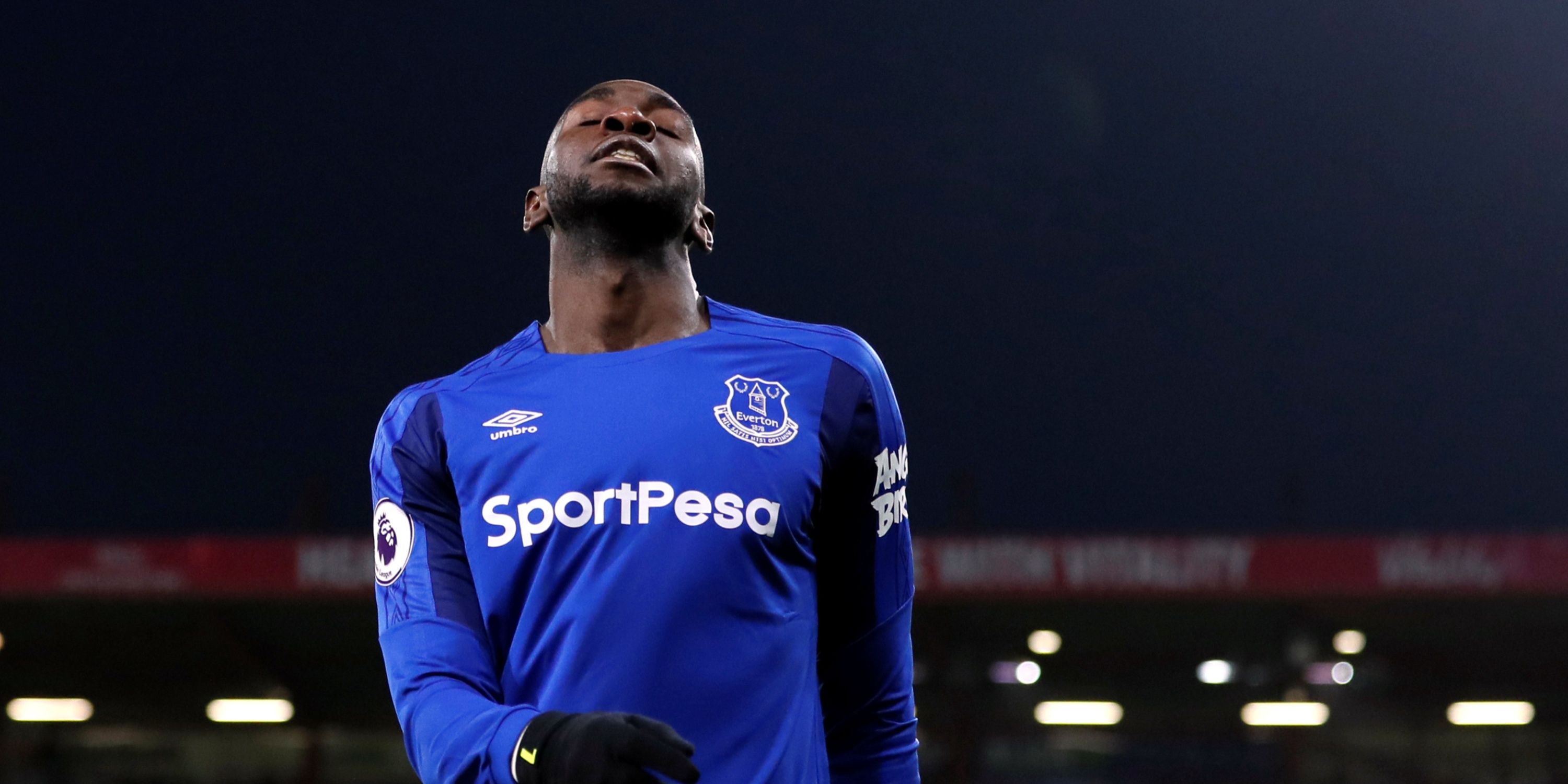 yannick-bolasie (2)