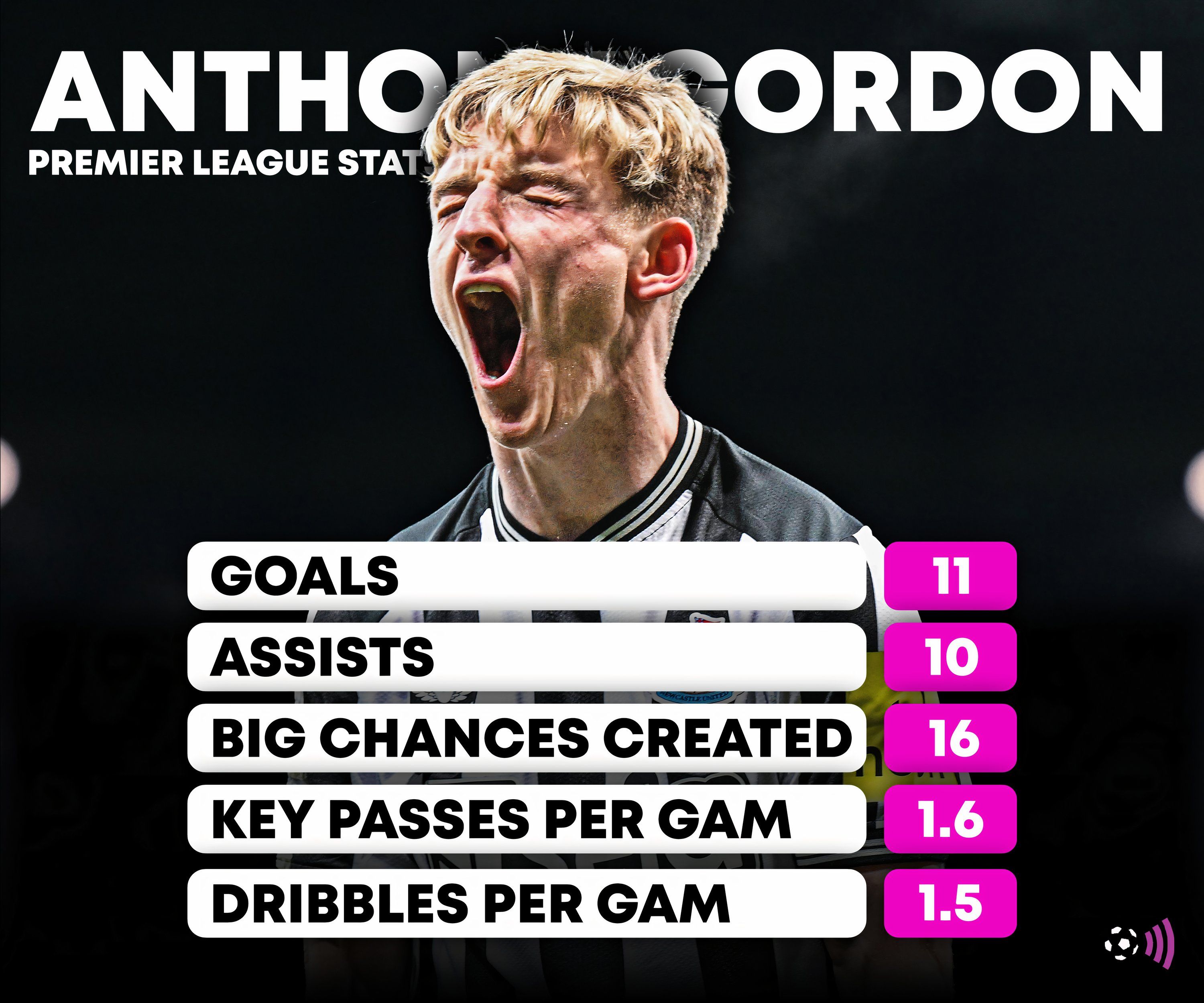 gordon-stats-newcastle