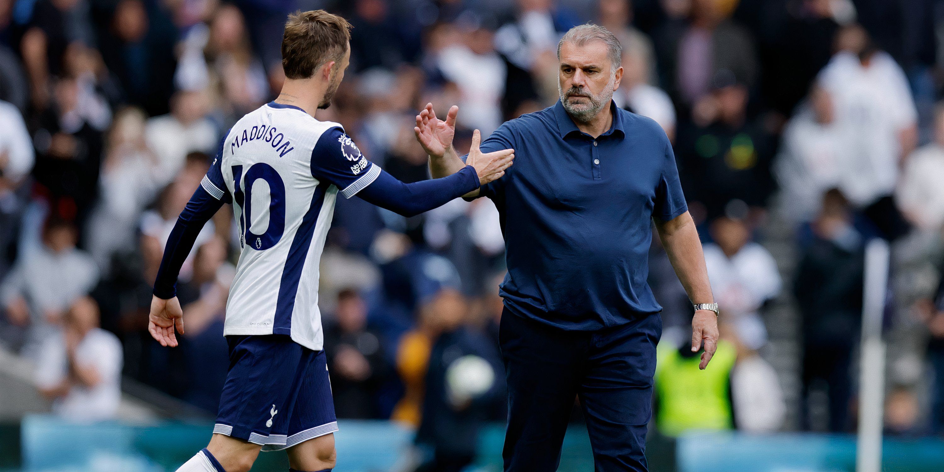 Ange Postecoglou and James Maddison celebrate