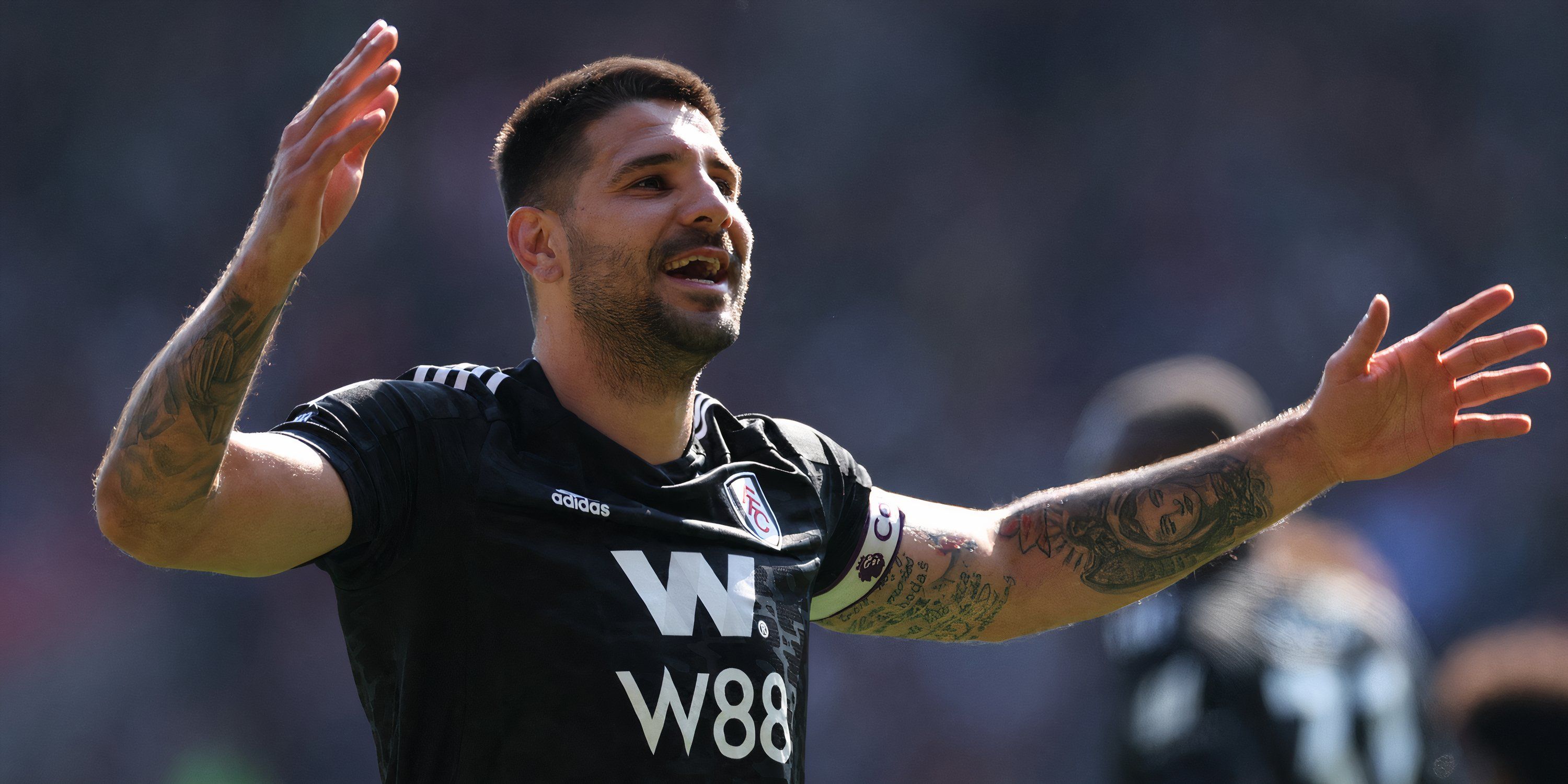 aleksandar-mitrovic-fulham-premier-league