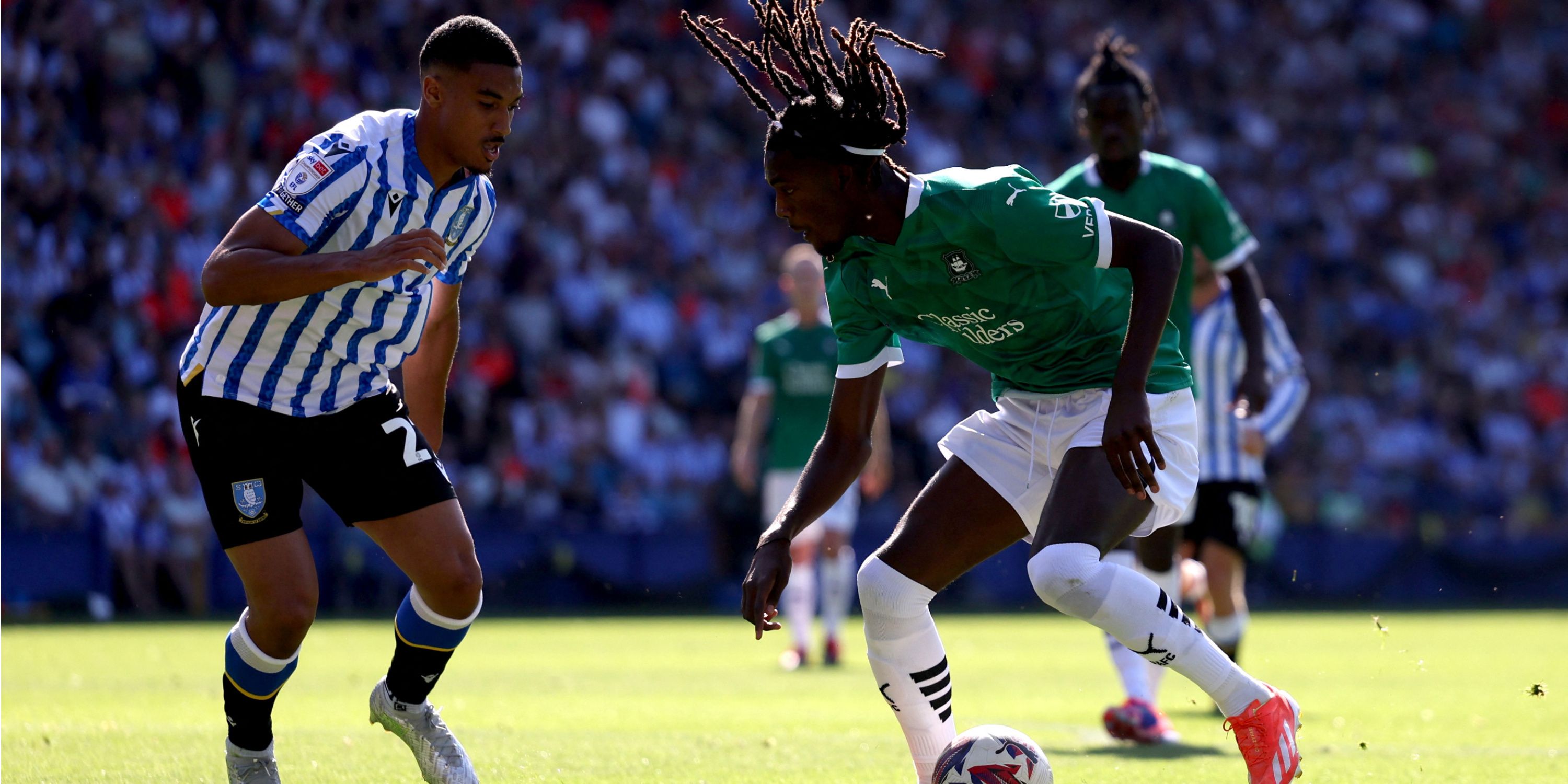 Sheffield Wednesday Defender Akin Famewo