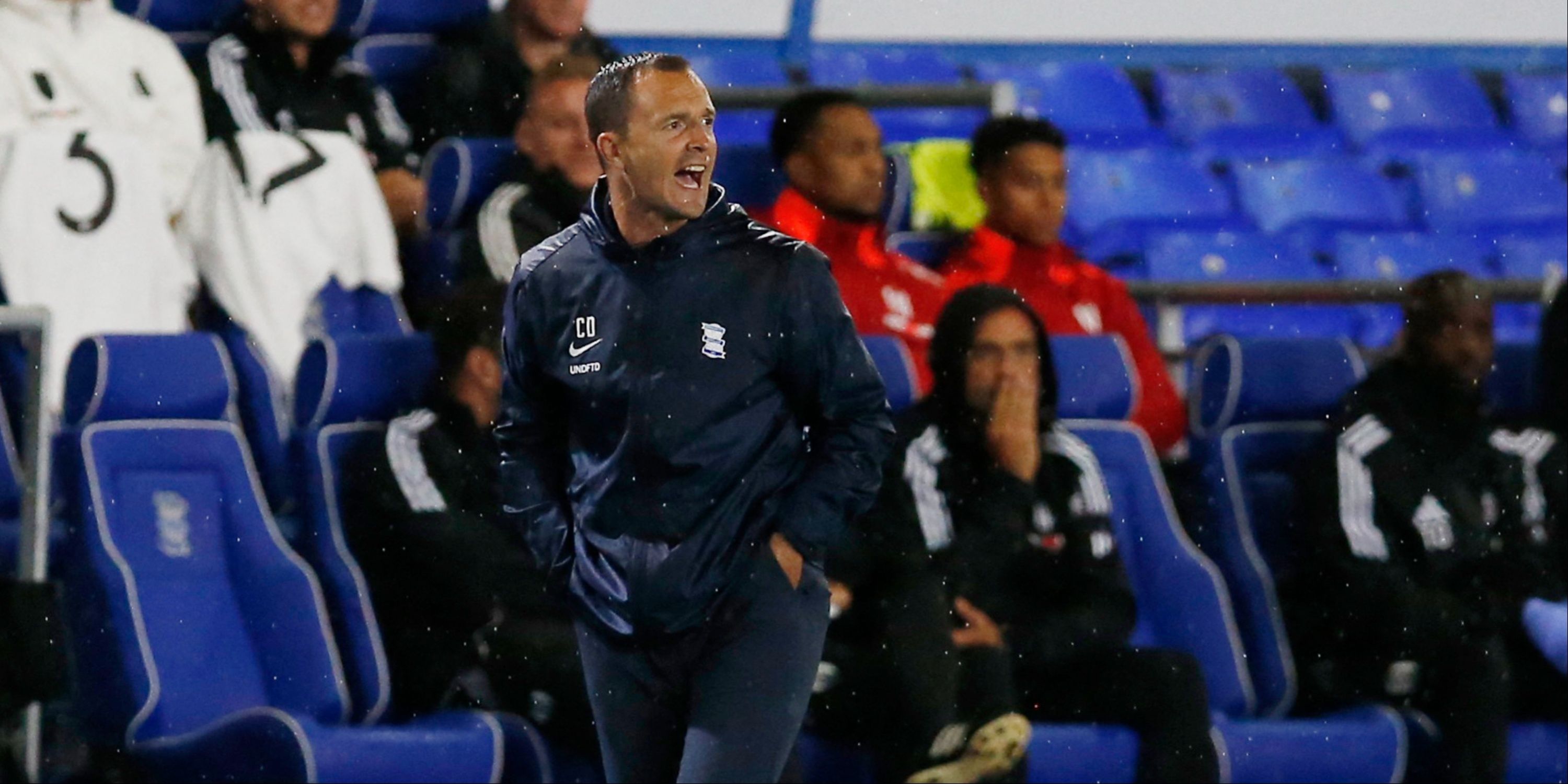 Birmingham City manager Chris Davies