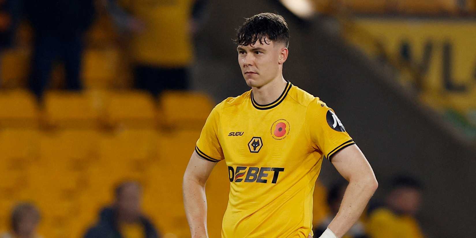strand-larsen-wolves