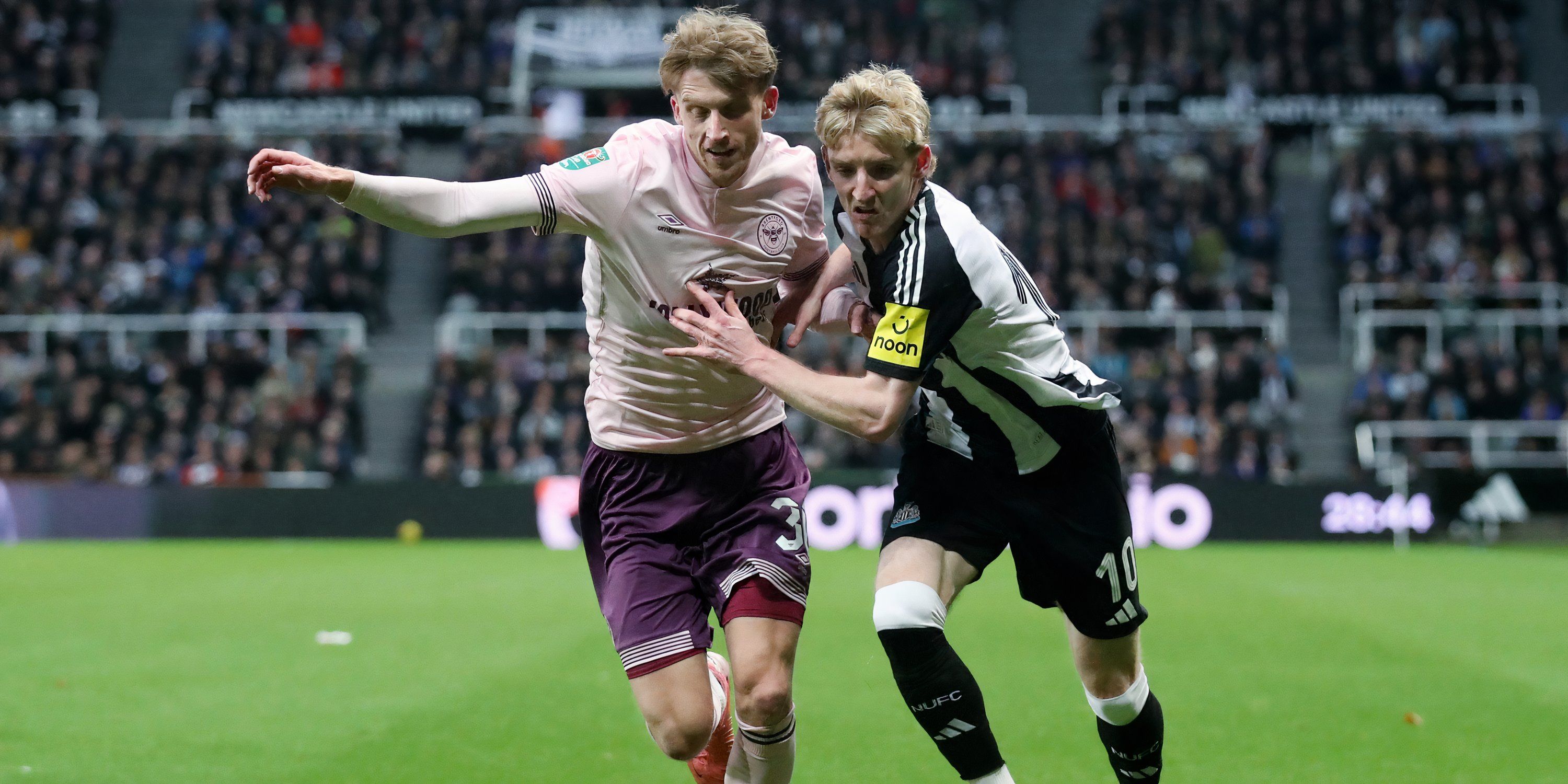 Anthony Gordon in action vs Brentford