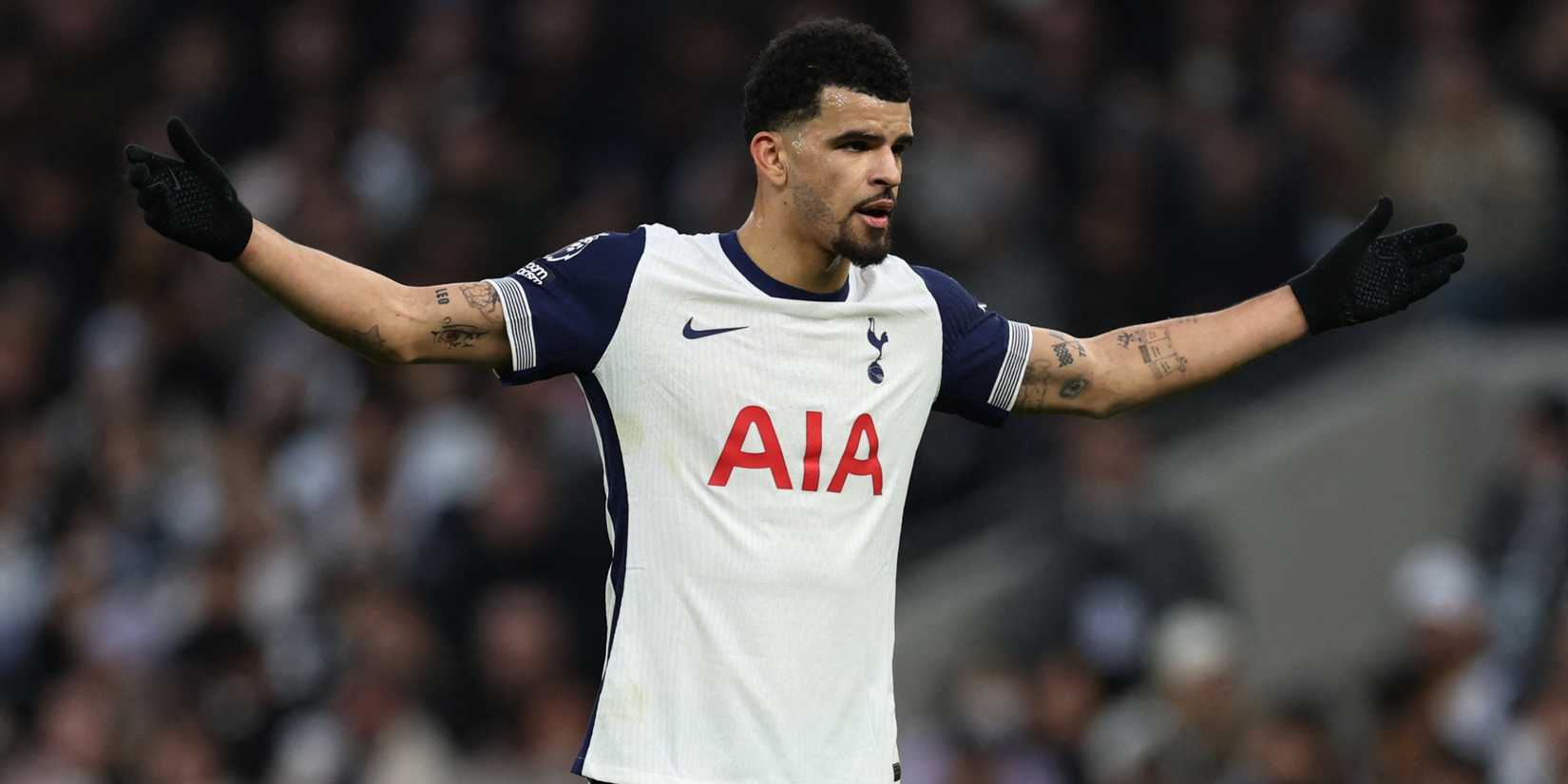 Tottenham -spits Dominic Solanke