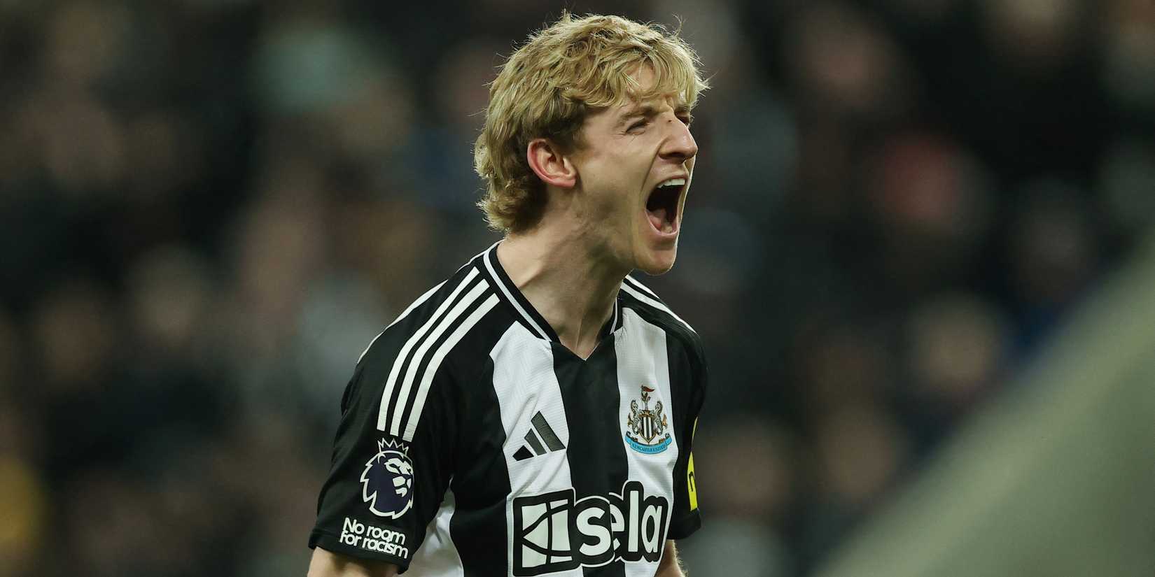 Anthony Gordon celebra pelo Newcastle.