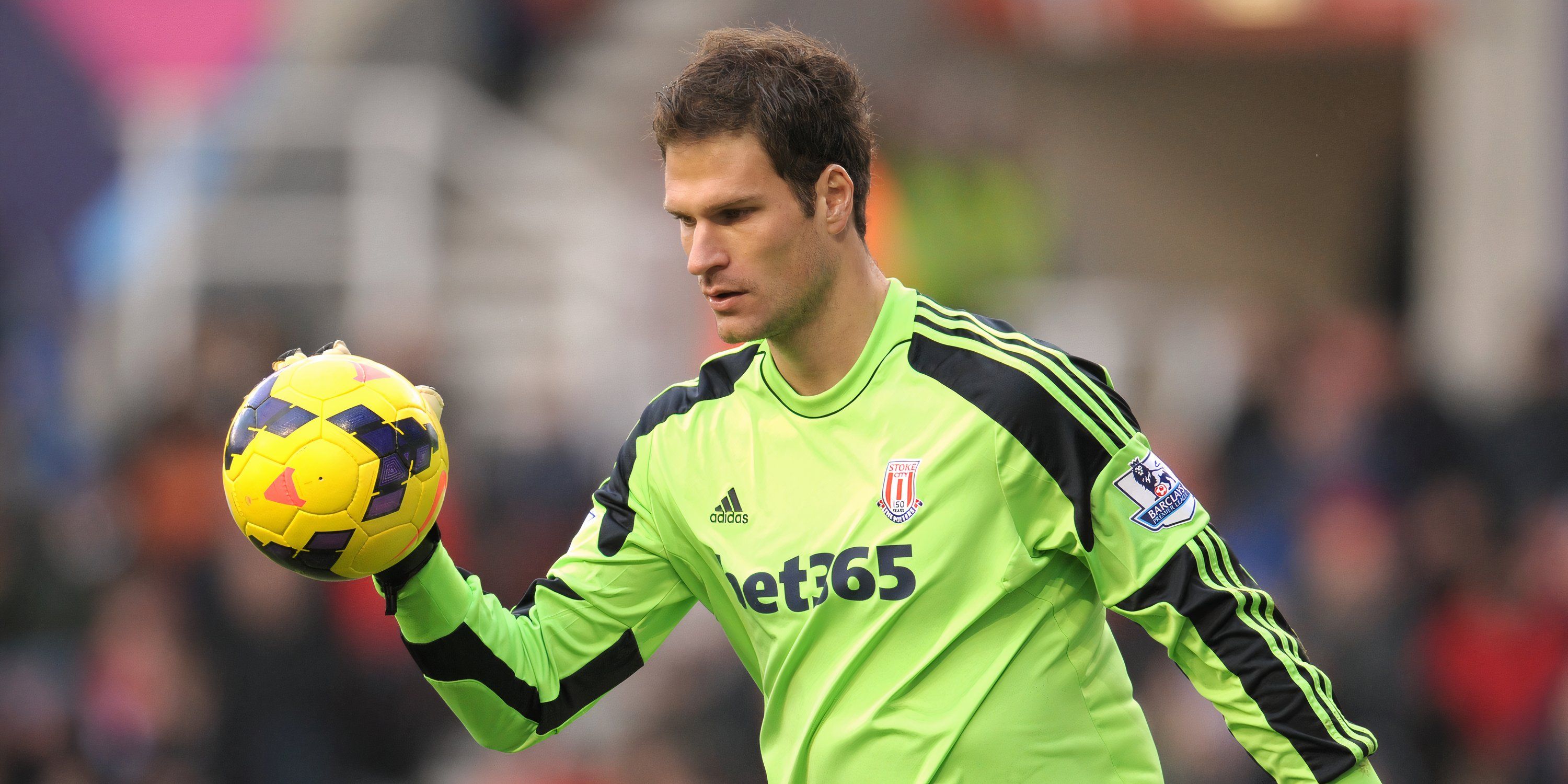 asmir-begovic-stoke-city-premier-league