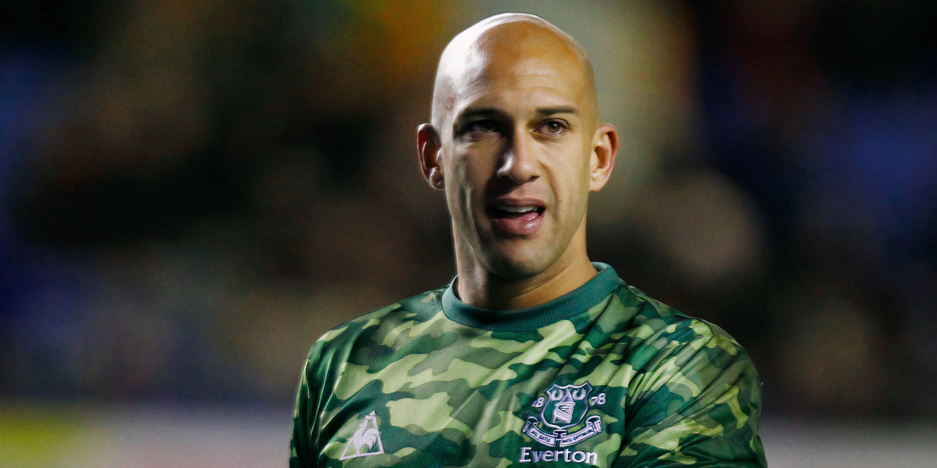 tim-howard-everton-premier-league