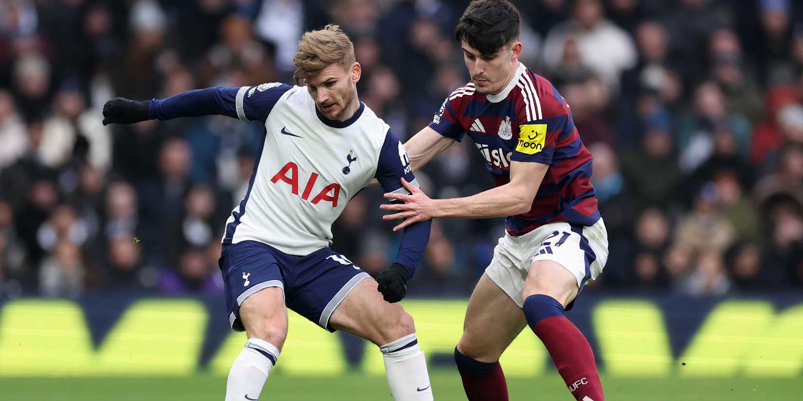Timo Werner, Tottenham player
