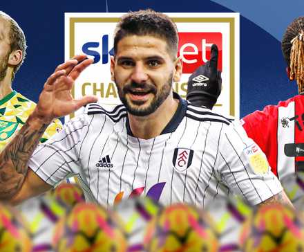 championship-top-scorers-pukki-mitrovic-toney