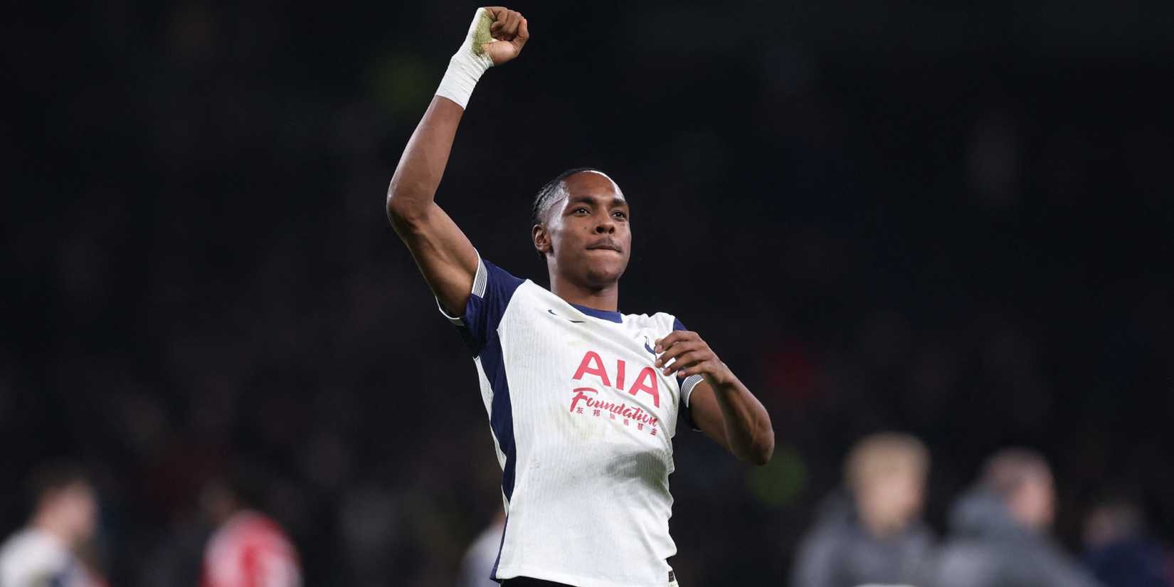 Mathys-Tottenham-Premier-Legue