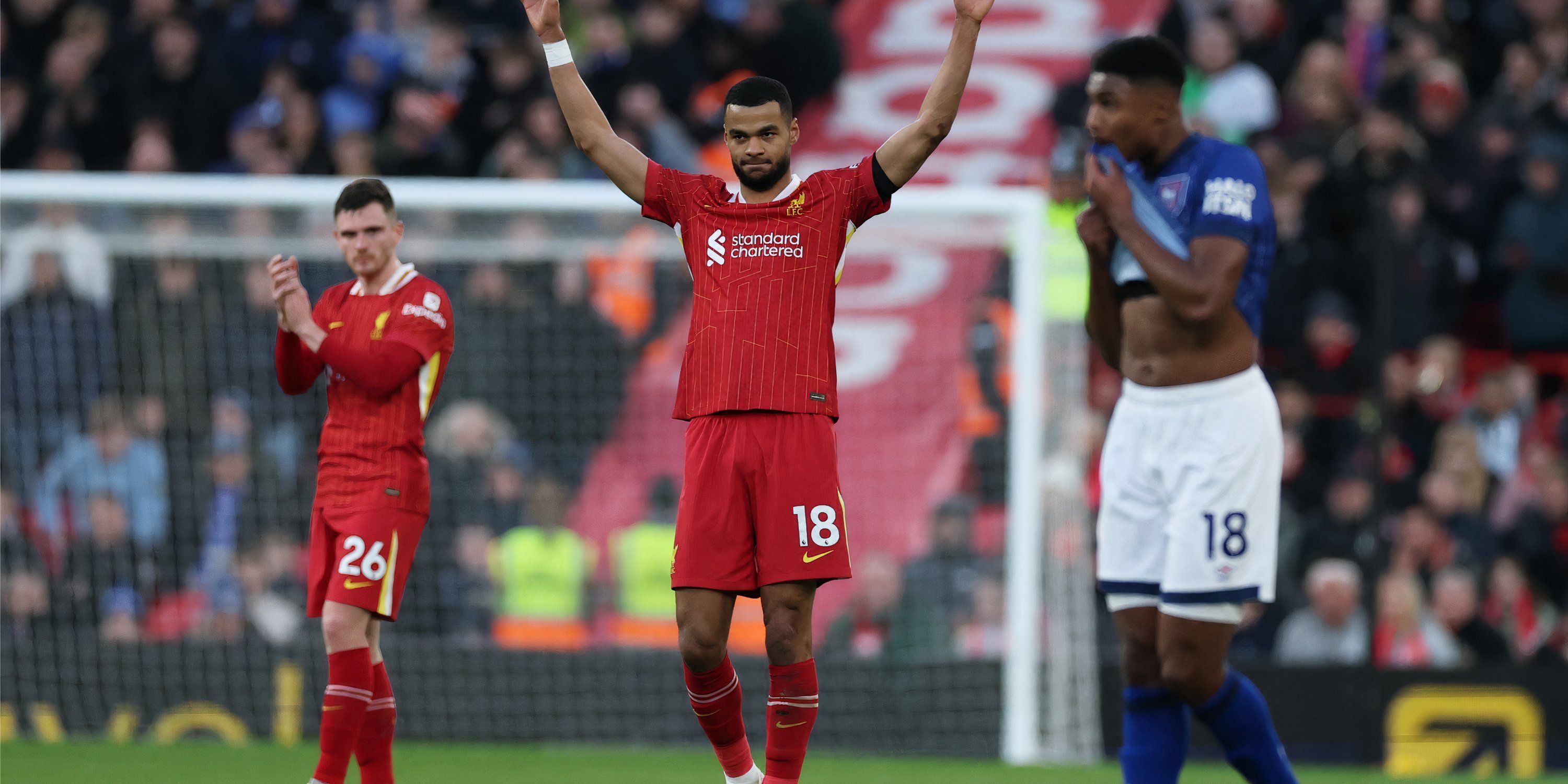 Cody Gakpo in action for Liverpool