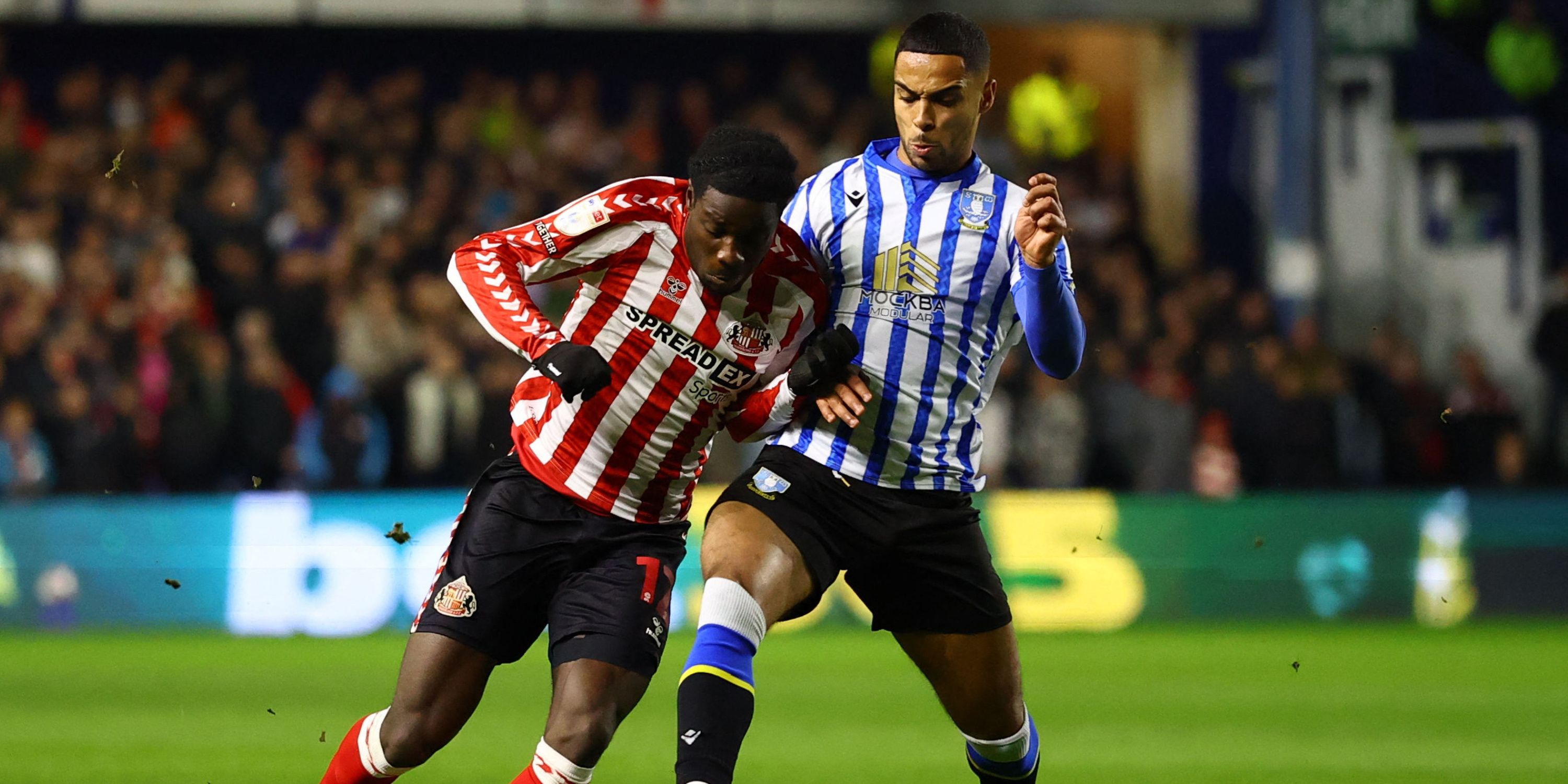 Sheffield Wednesday Defender Max Lowe