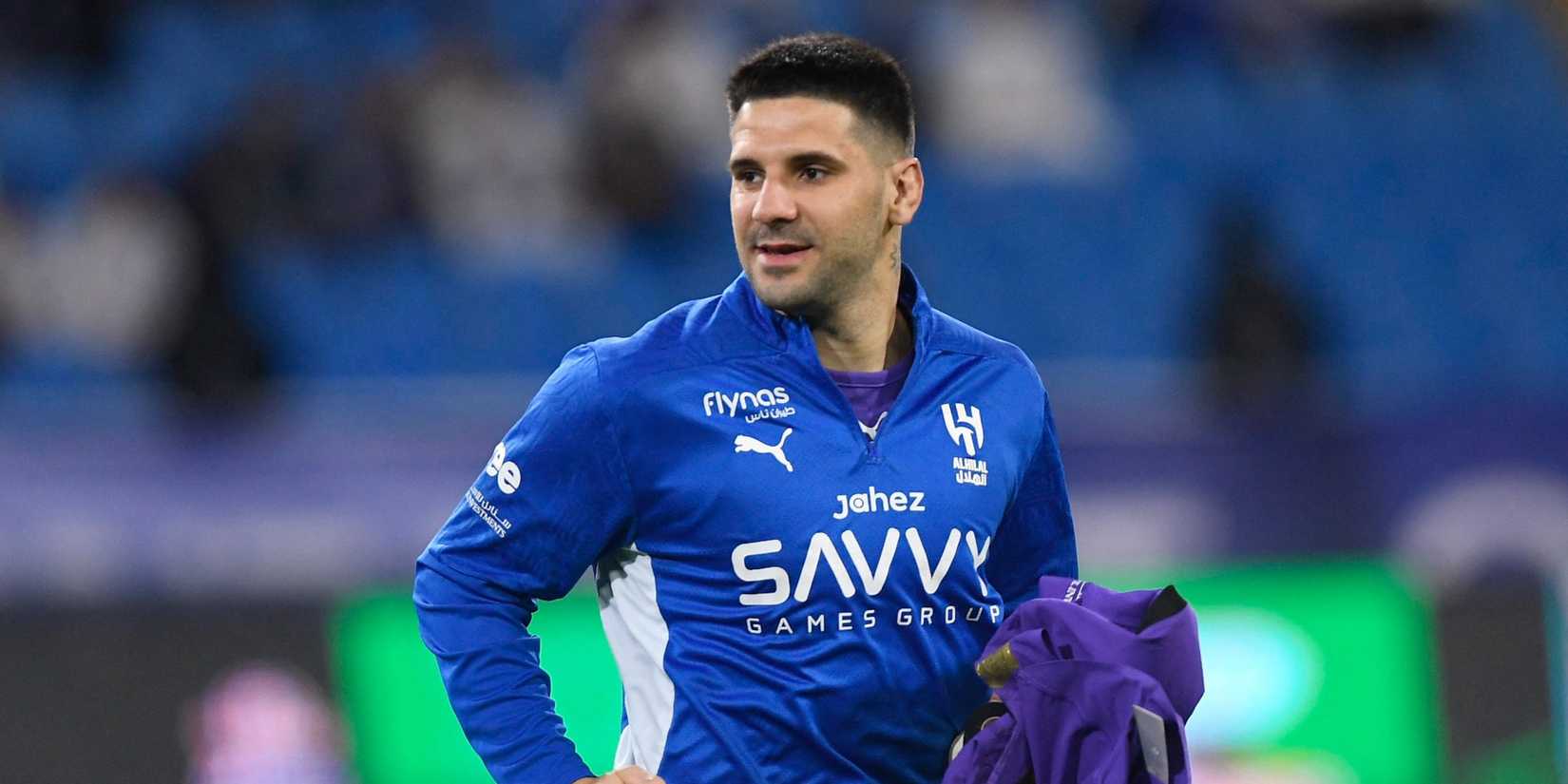 Aleksandar Mitrovic