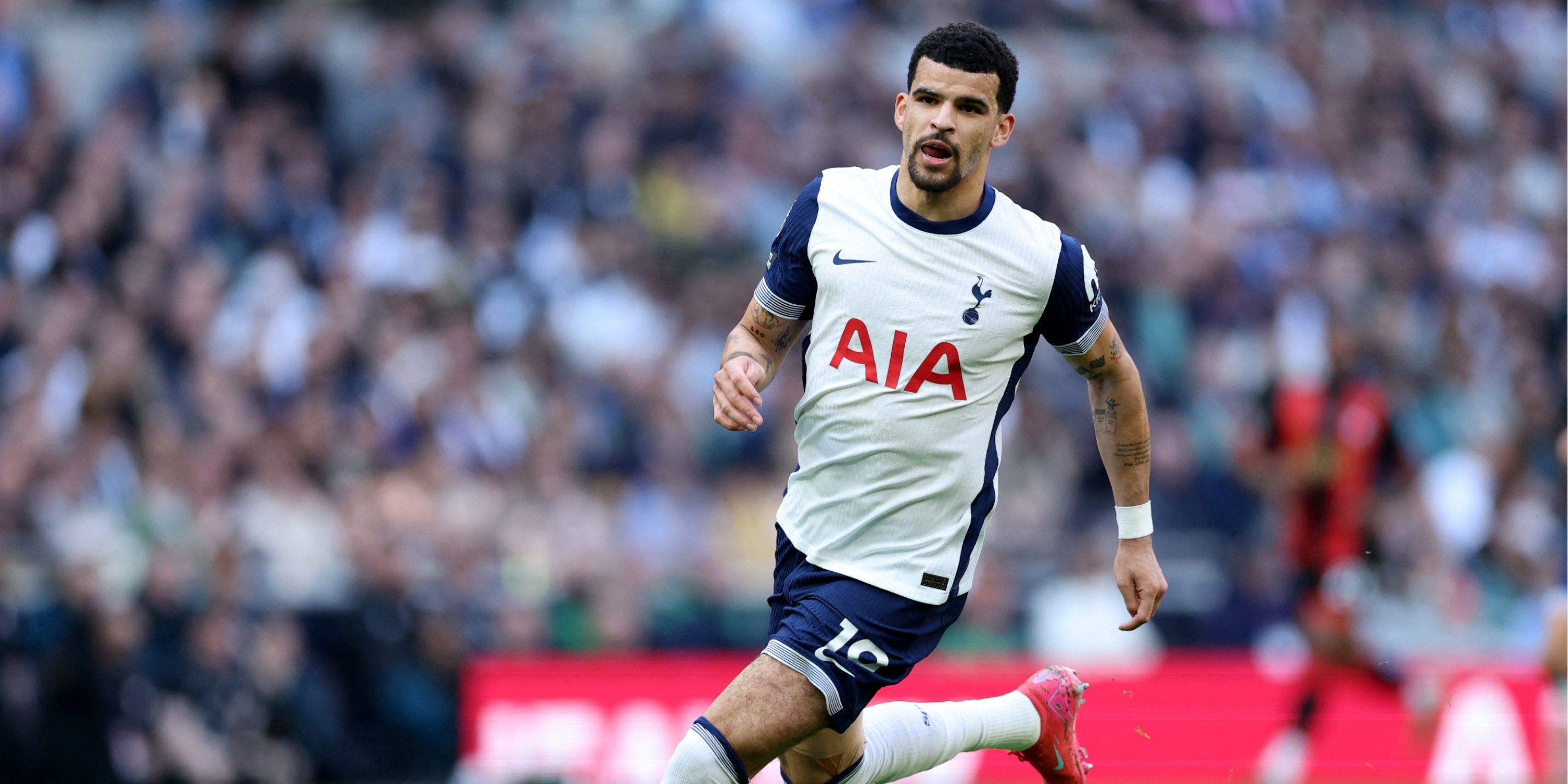 Solanke-Spurs (2)