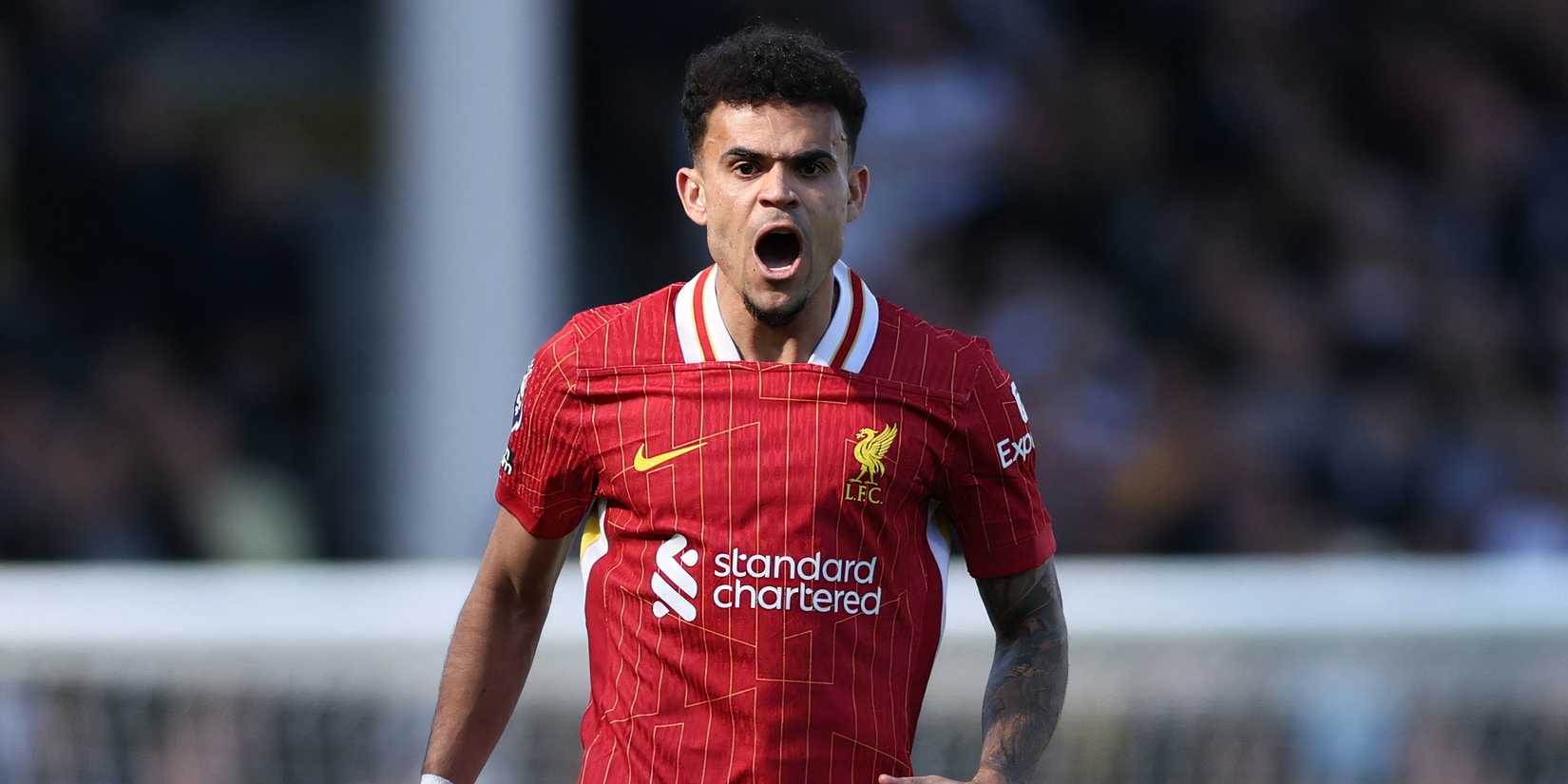 Liverpool forward Luis Diaz