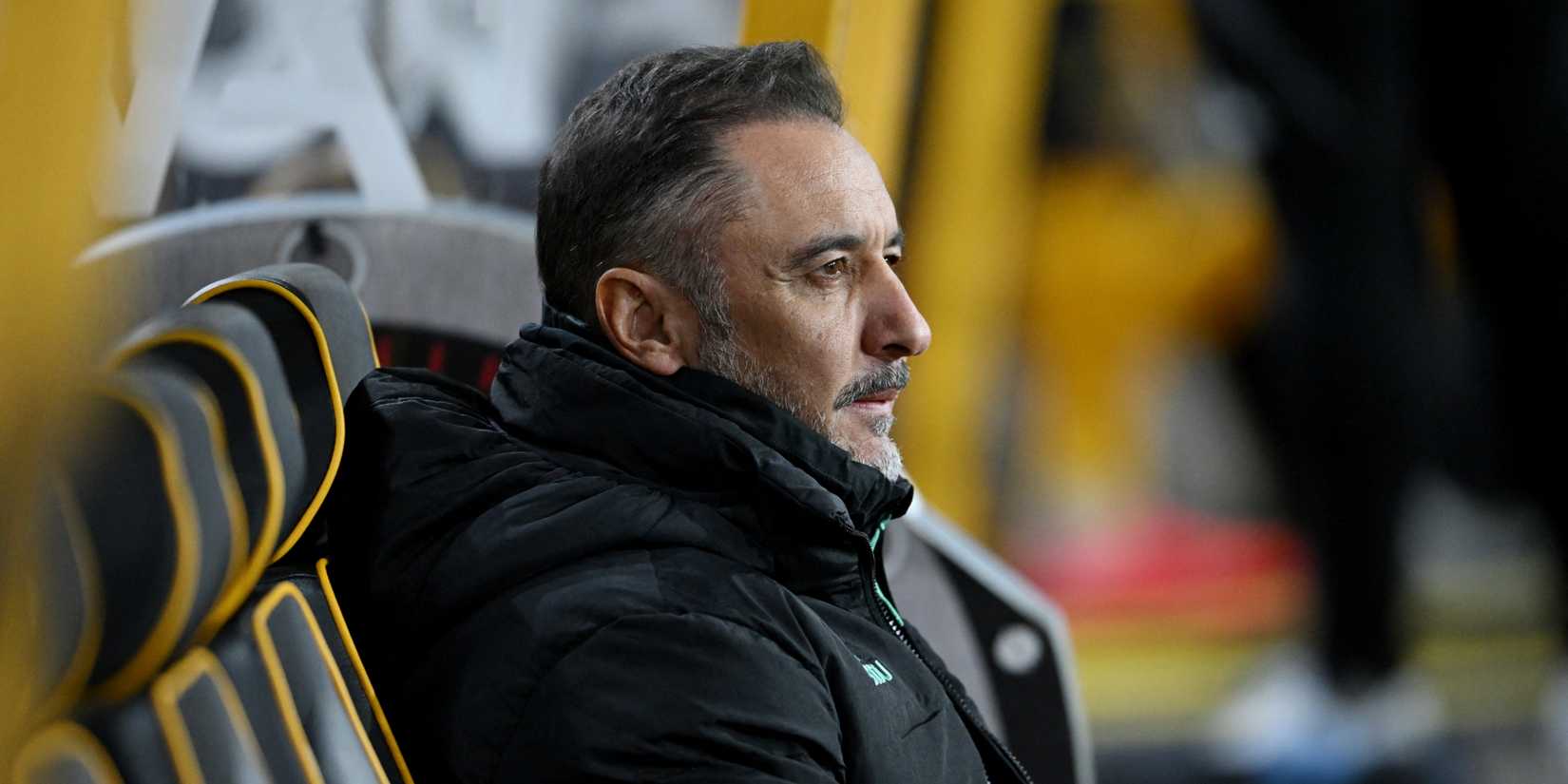 wolves-vitor-pereira
