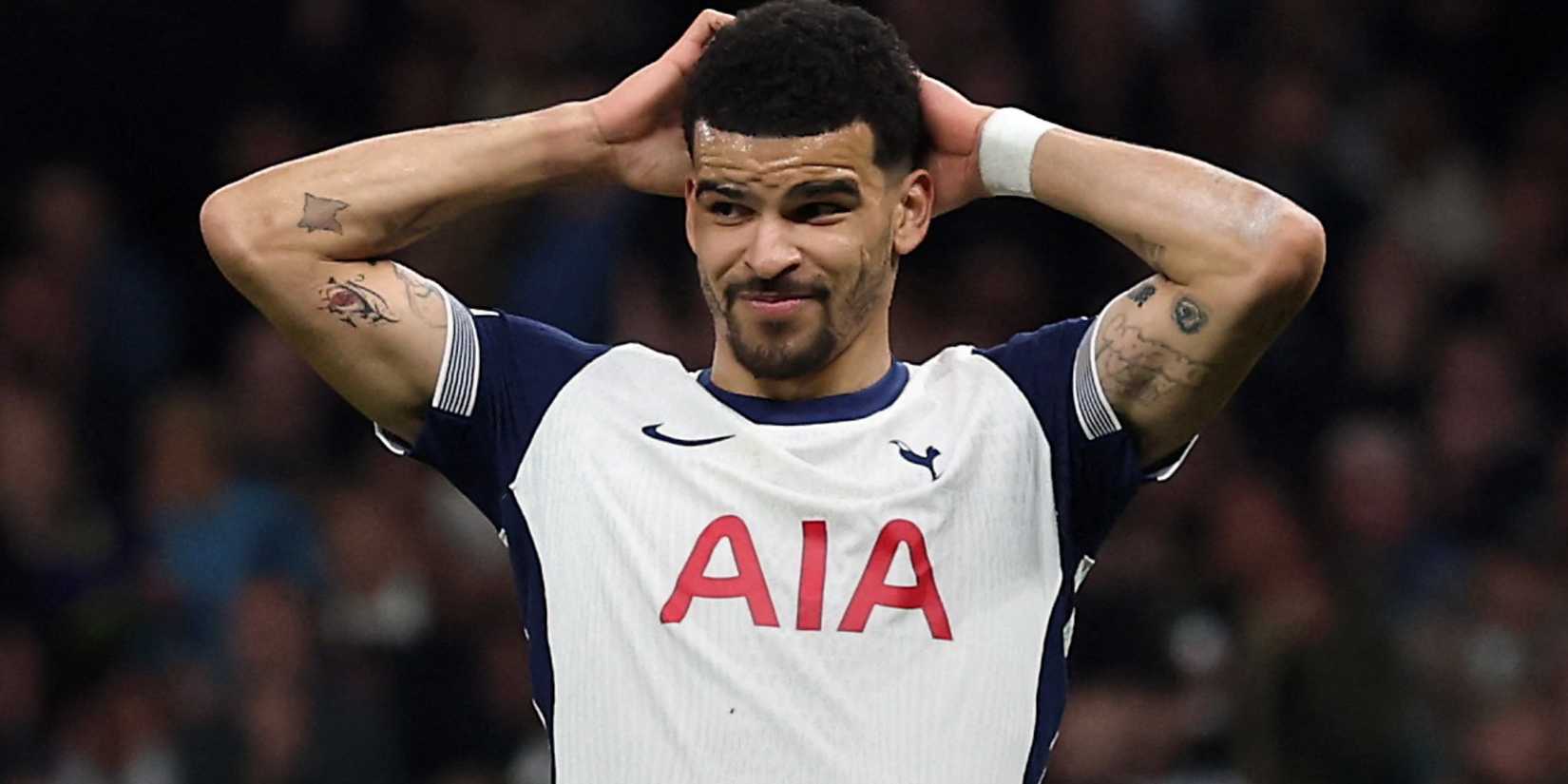 Доминик Соланке в игре