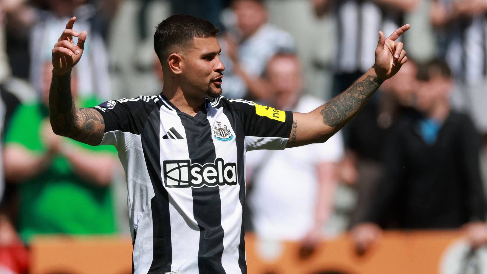 Why Newcastle should swoop for Guimaraes in a £38m midfield signing Why Newcastle should swoop for Guimaraes in a £38m midfield signing