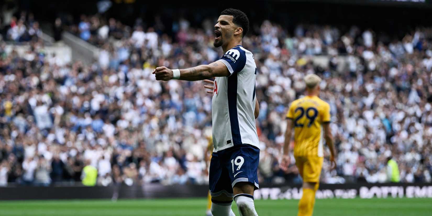Dominic Solanke celebrates for Tottenham