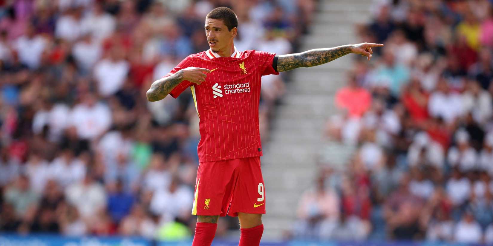 Darwin Nunez Liverpool