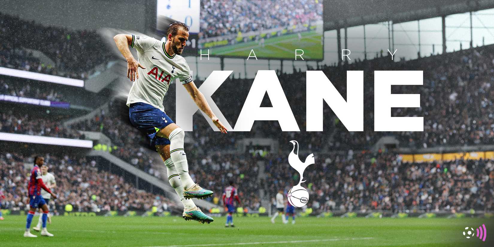 Harry Kane Sports