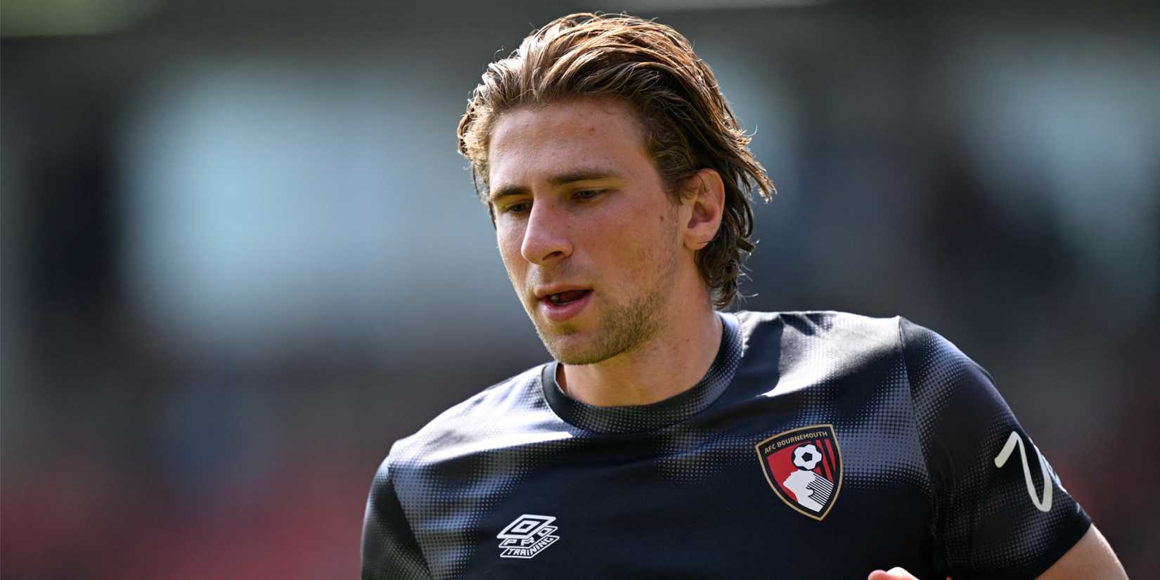 zabarnyi-bournemouth