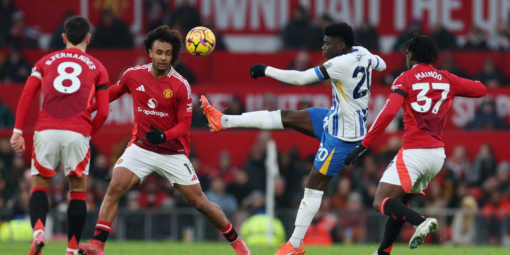 Better-Belebe-Belebe-Breece-Breece