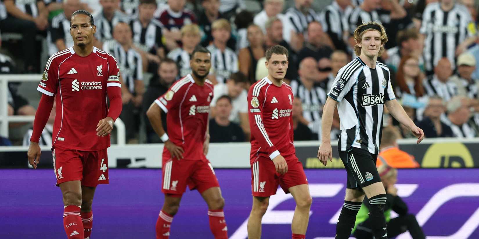 newcastle-gordon-liverpool