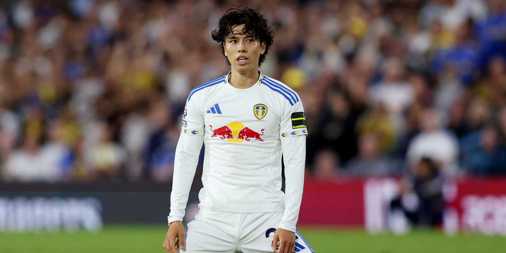 ao-tanaka-leeds