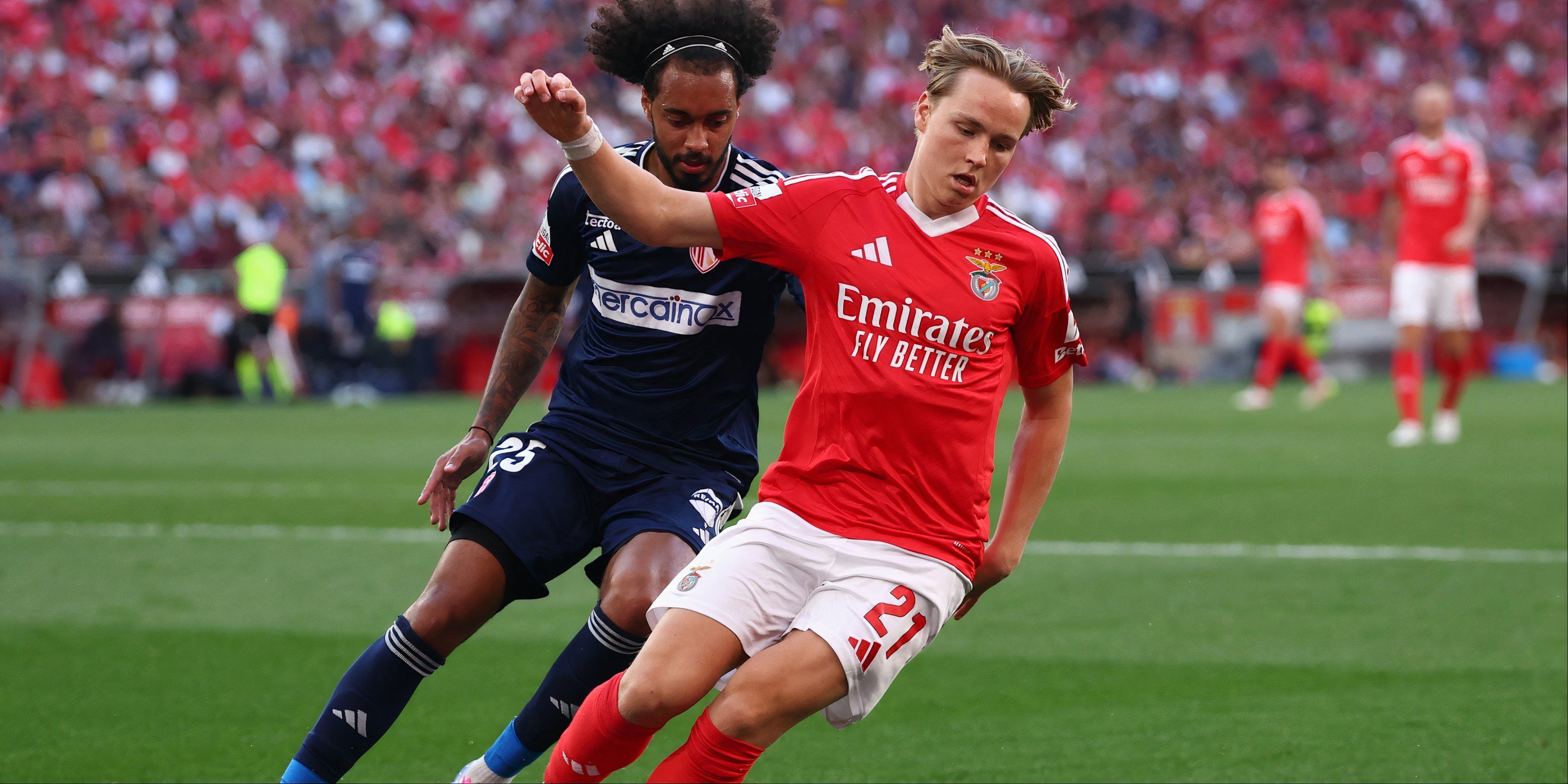 Schjelderup-Benfica-transfer