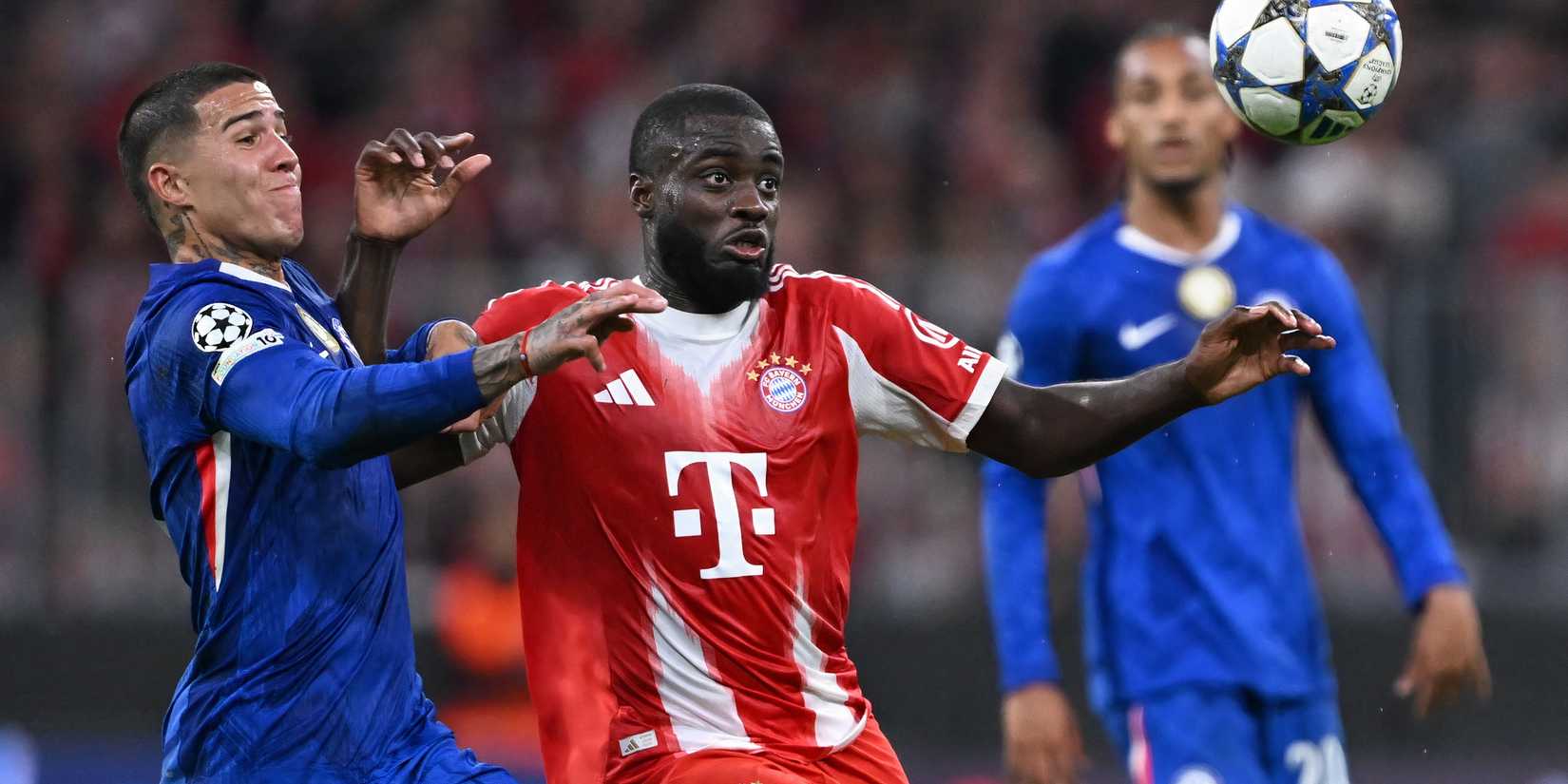 Maresca must now boldly drop Fernandez to start Chelsea's "one-man machine" enzo-chelsea-bayern