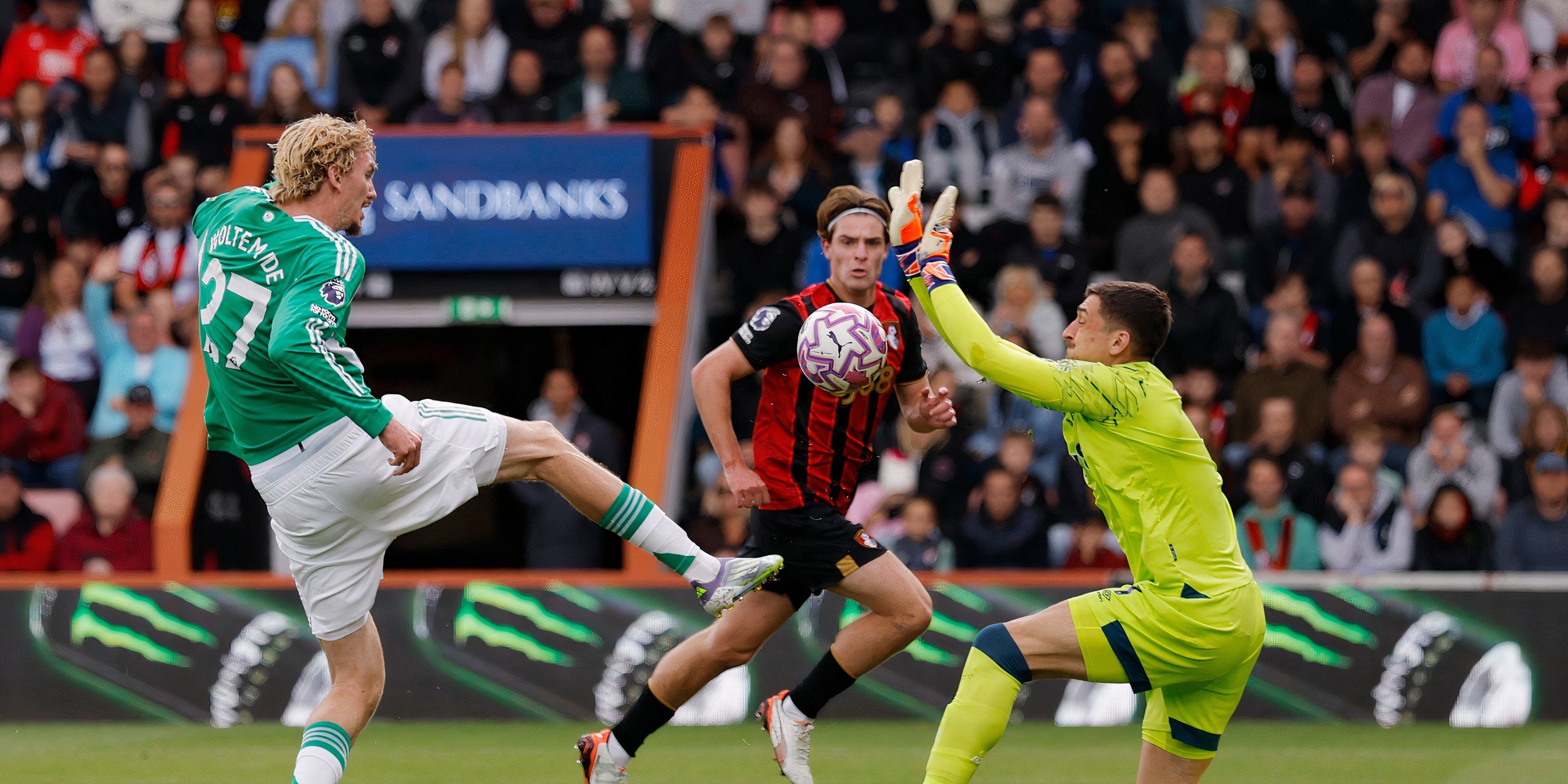 Ник Уолтемаде в форме Ньюкасла