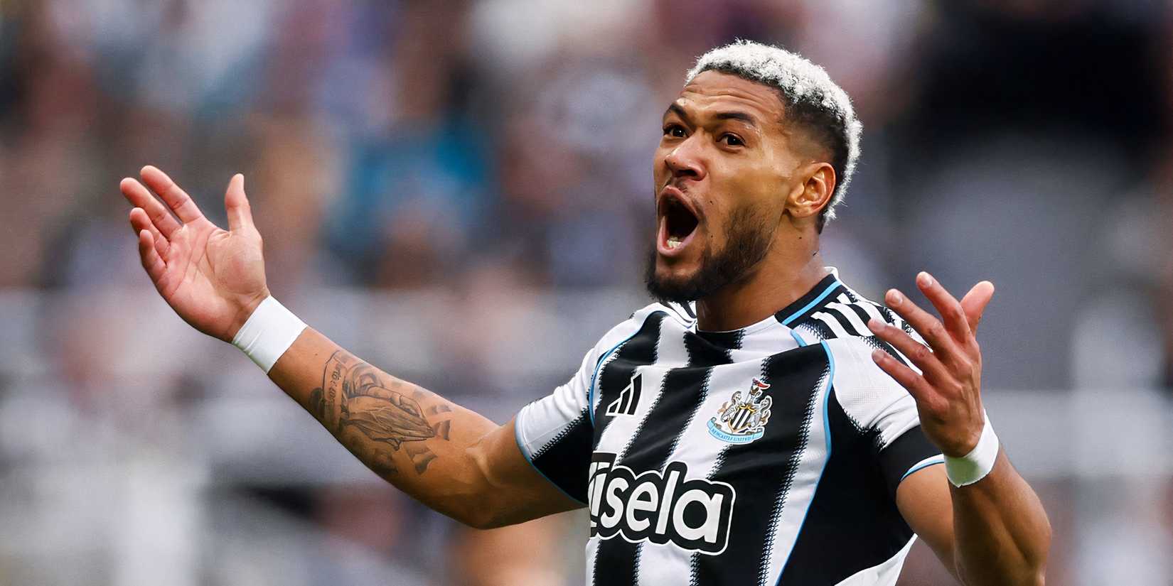 joelinton-newcastle