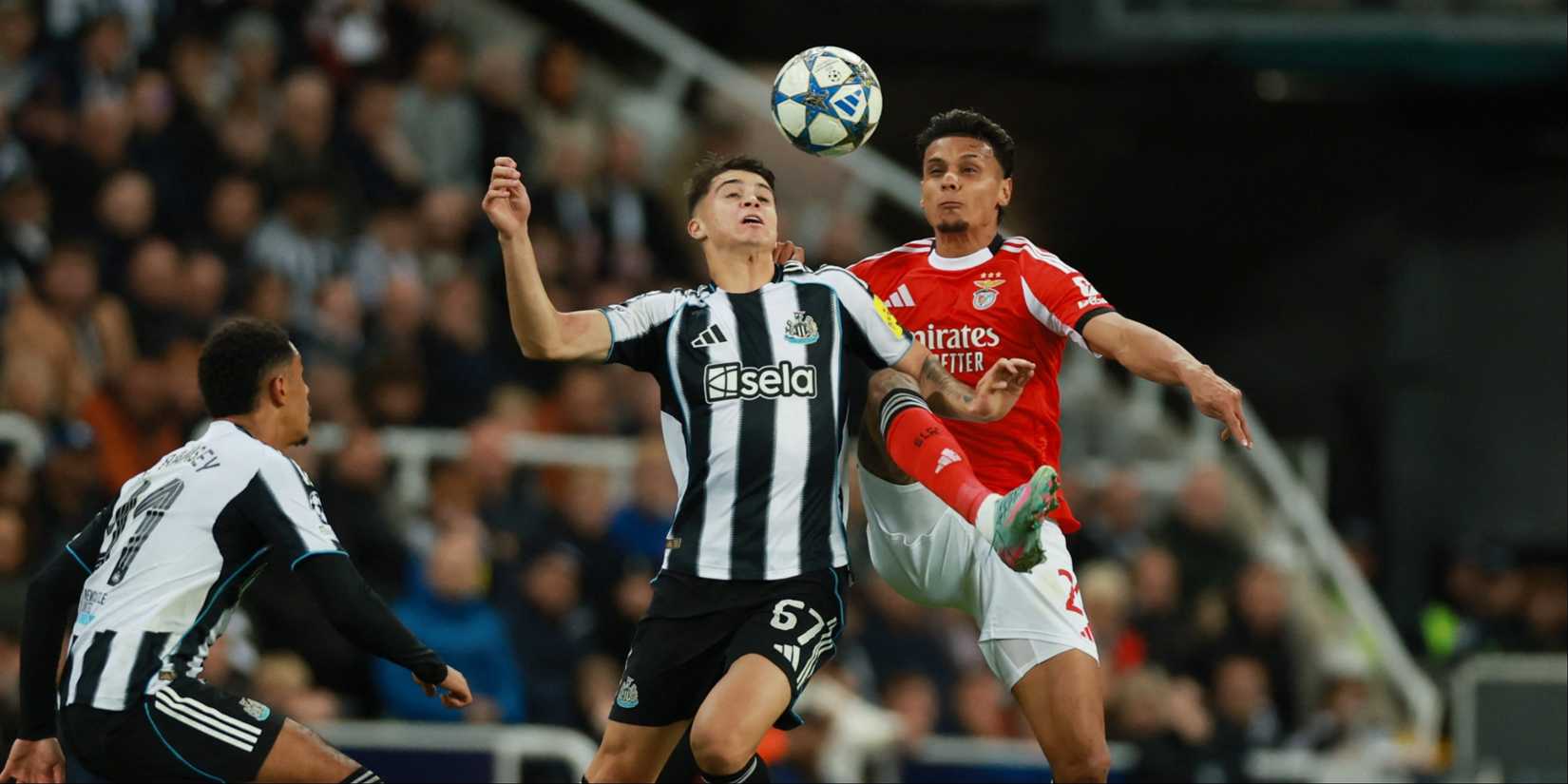 Lewis-Miley-Newcastle-Benfica