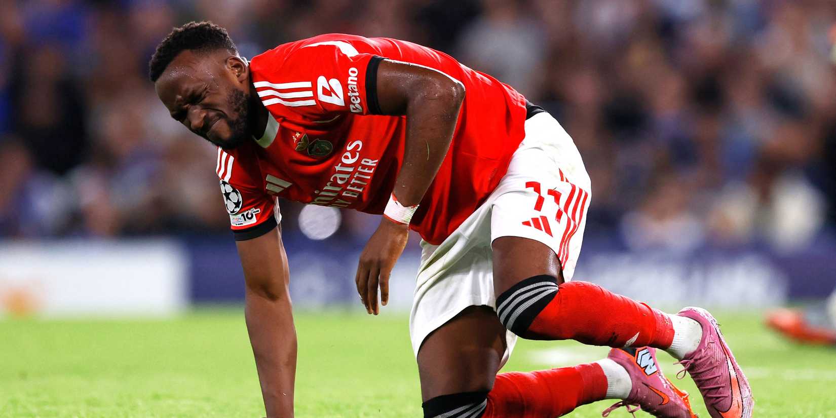 dodi-lukebakio-benfica