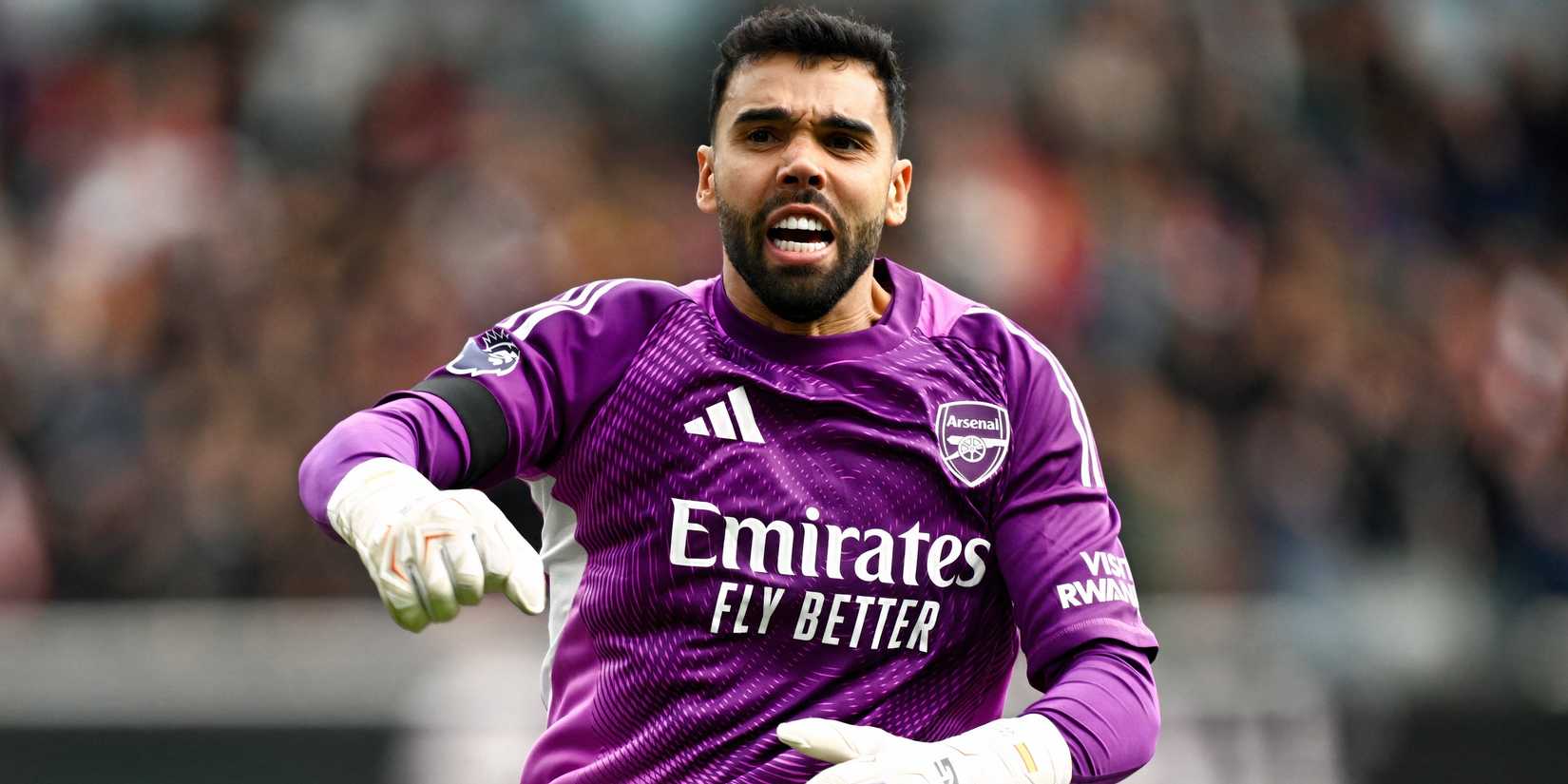 David-Raya-Arsenal