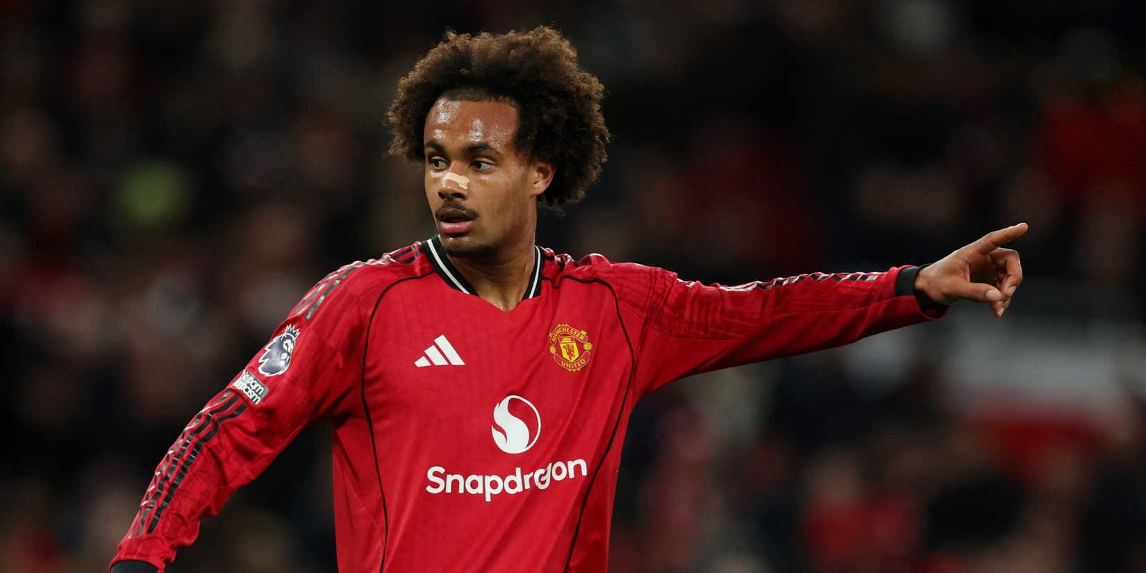 joshua-zirkzee-man-utd-premier-league