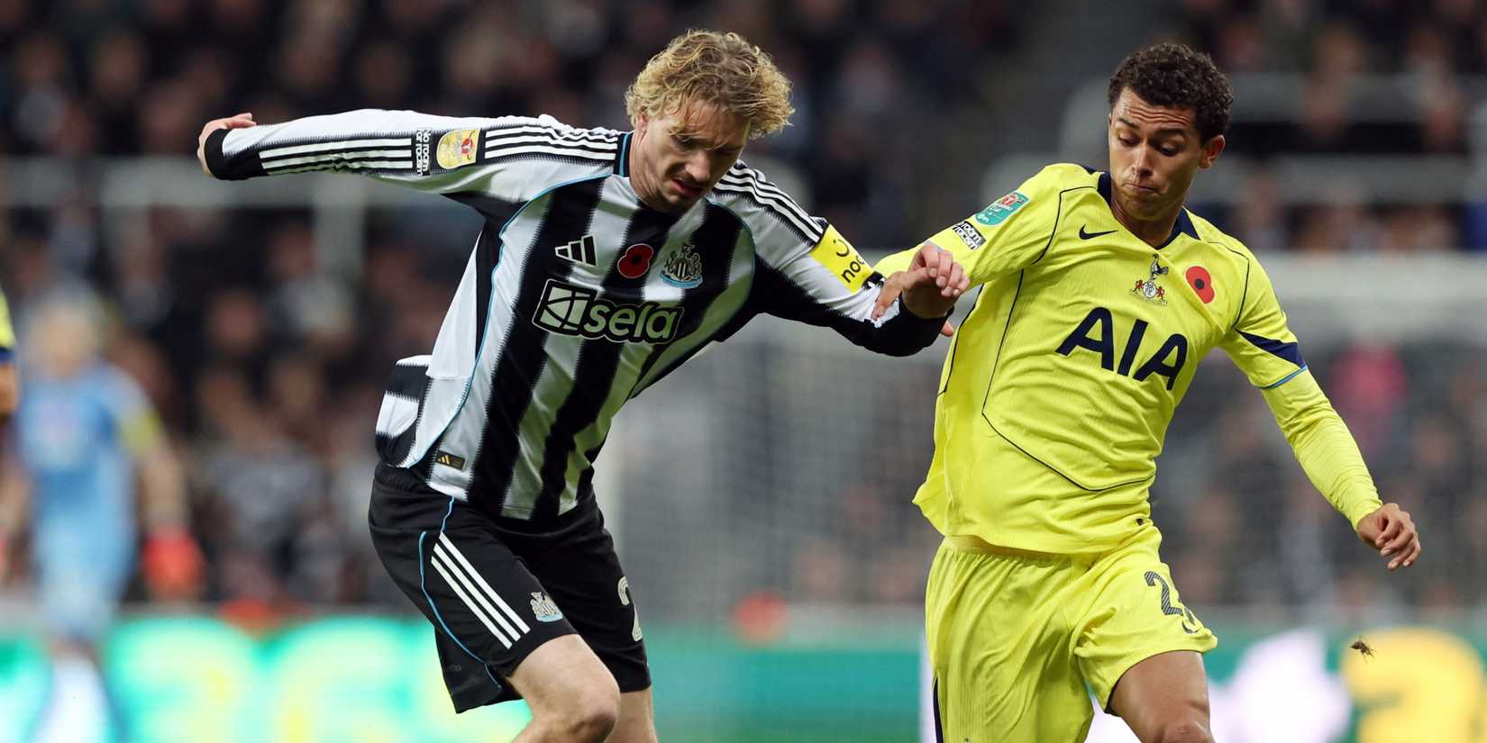 MixCollage-29-Oct-2025-10-59-PM-9401