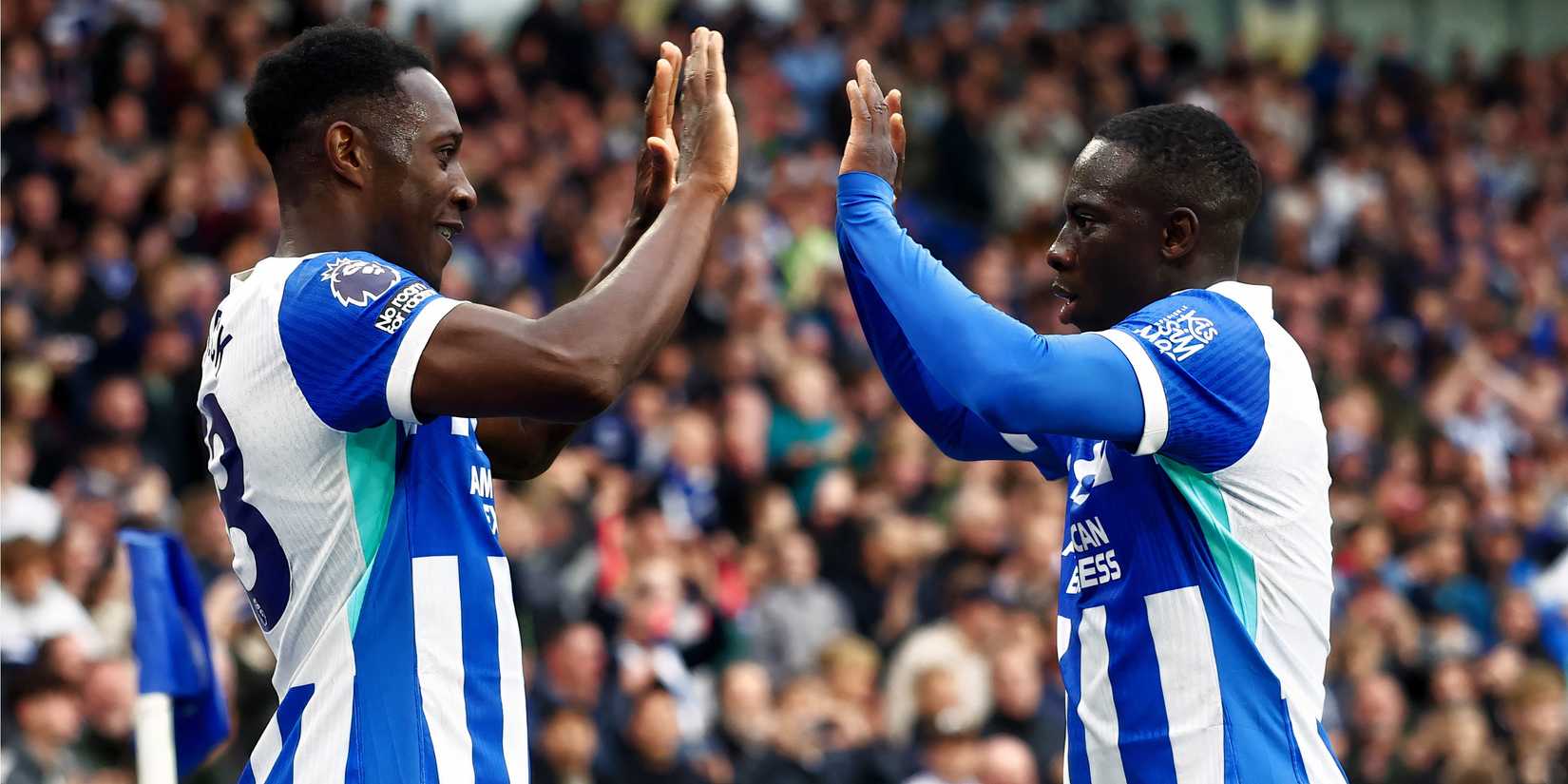 yankuba-minteh-brighton