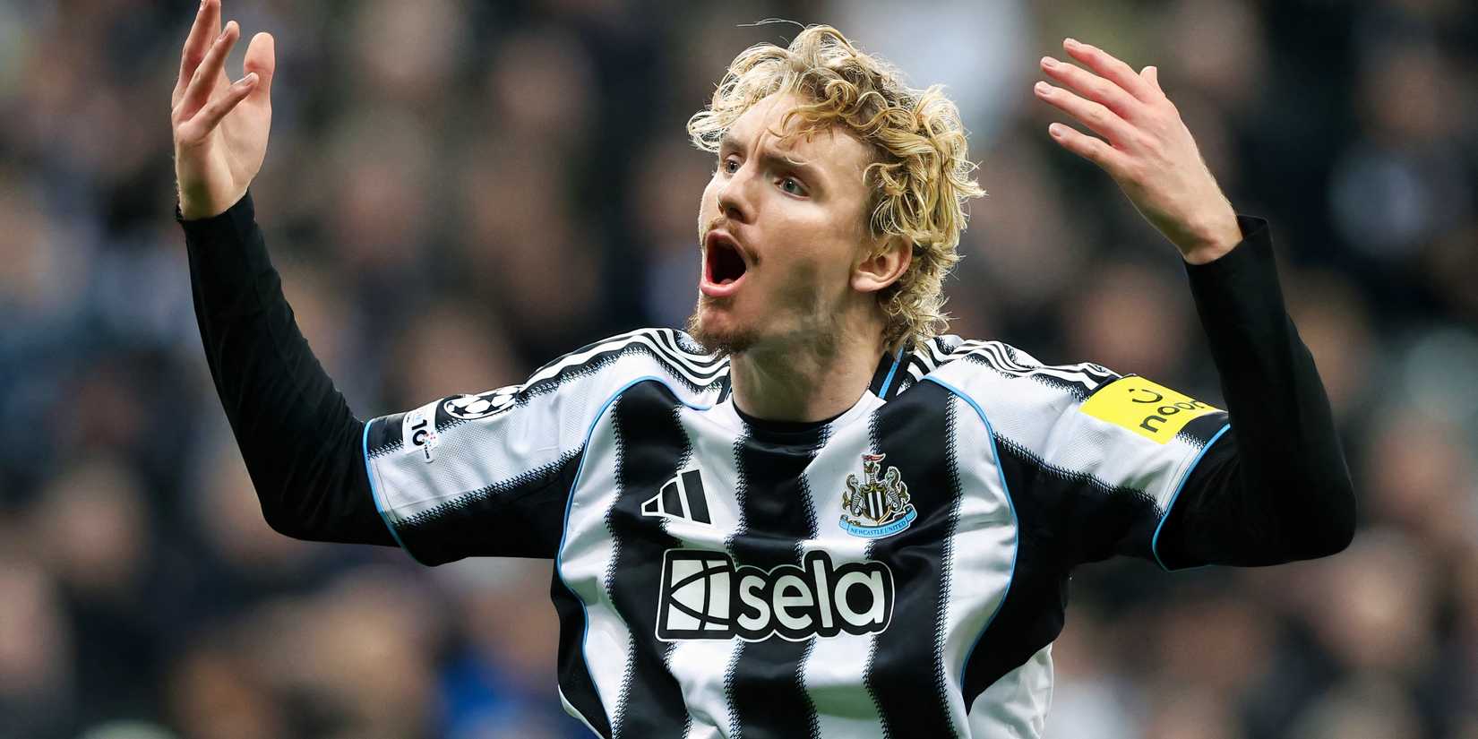Newcastle's Nick Woltemade