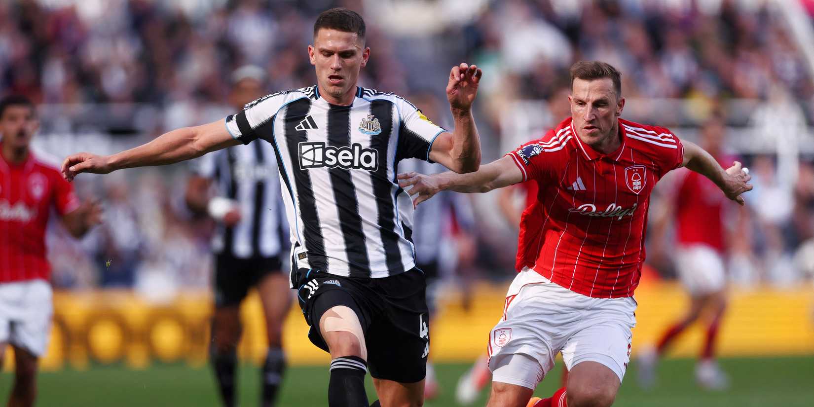 Sven Botman for Newcastle