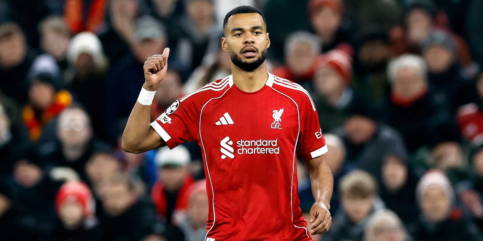 Liverpool's Cody Gakpo