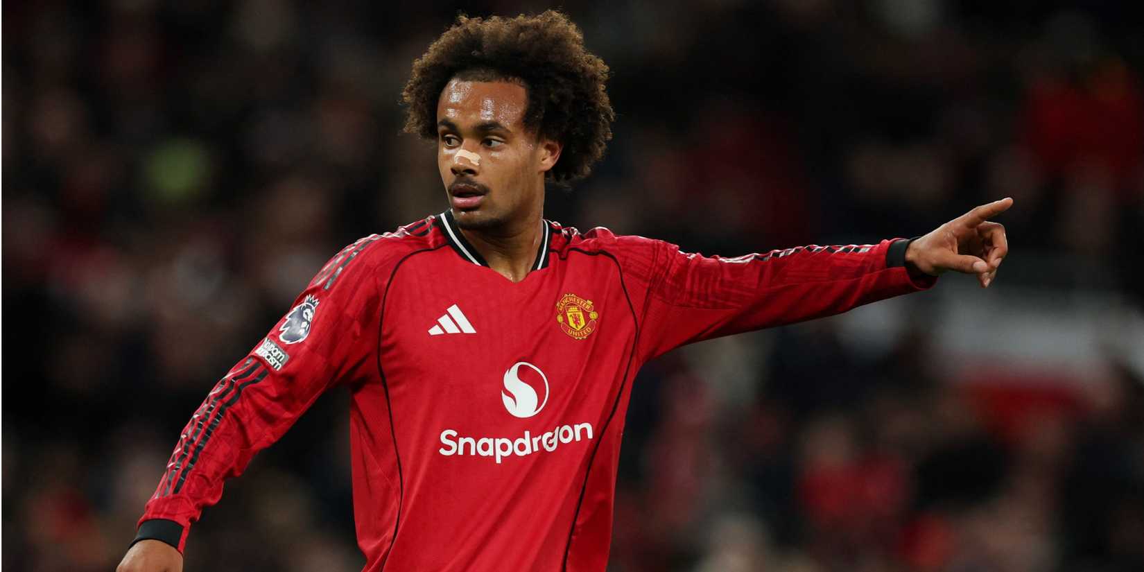 joshua-zirkzee-man-utd