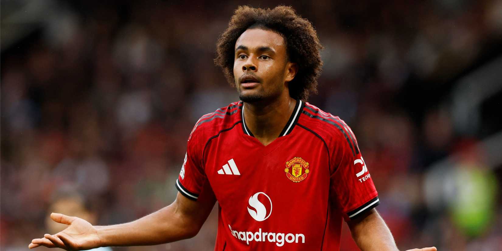 joshua-zirkzee-man-utd