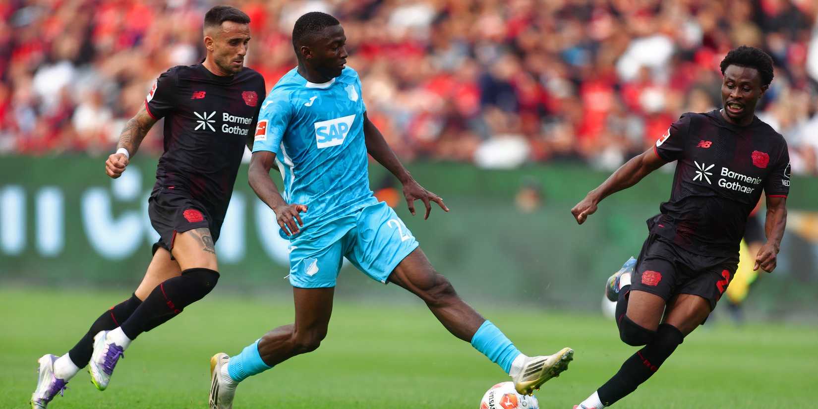 Bazoumana Toure for Hoffenheim