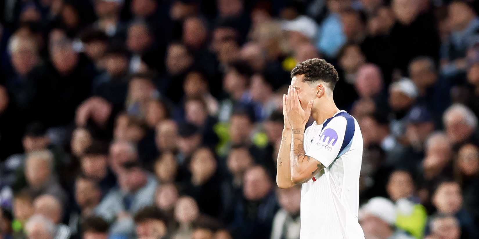 Brennan Johnson for Tottenham